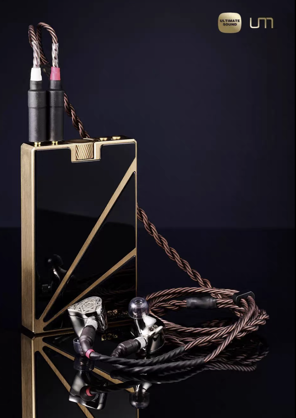 Unique Melody PP6 Pro + Raptor 10-Driver Hybrid IEM In-Ear-Monitor System DSP - GreshamTech