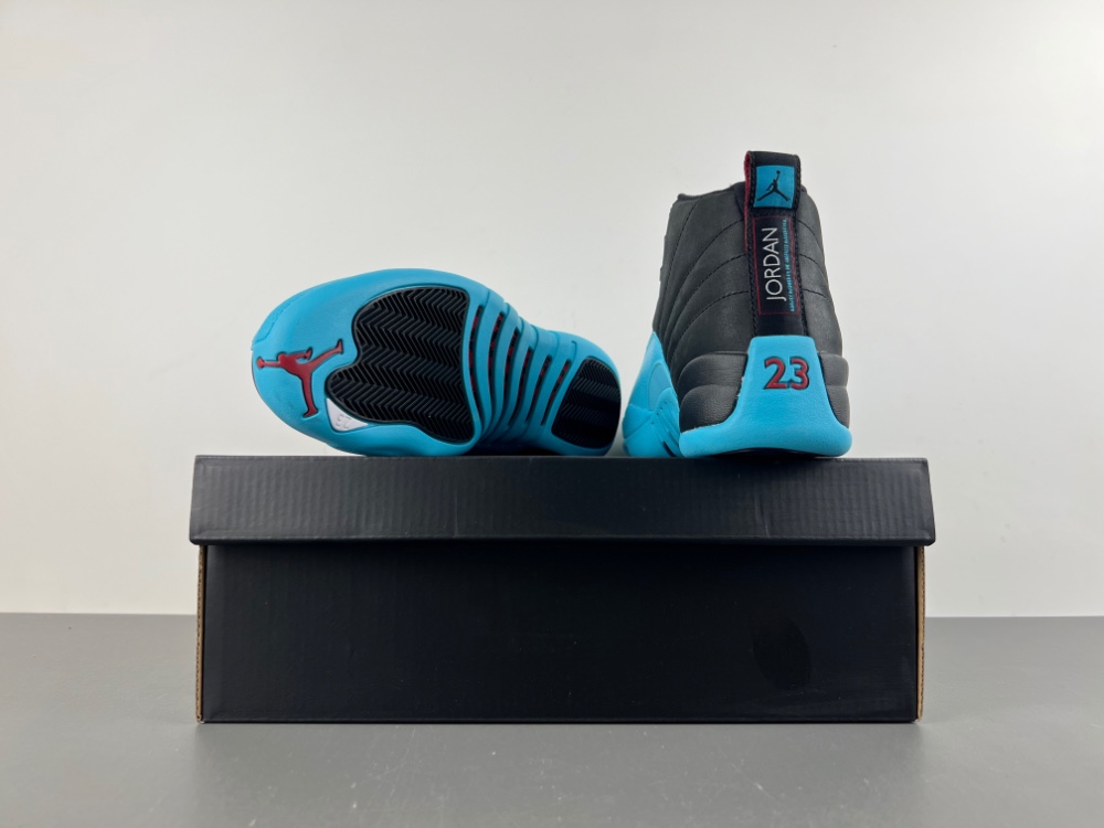 Air Jordan 12 “Gamma Blue”