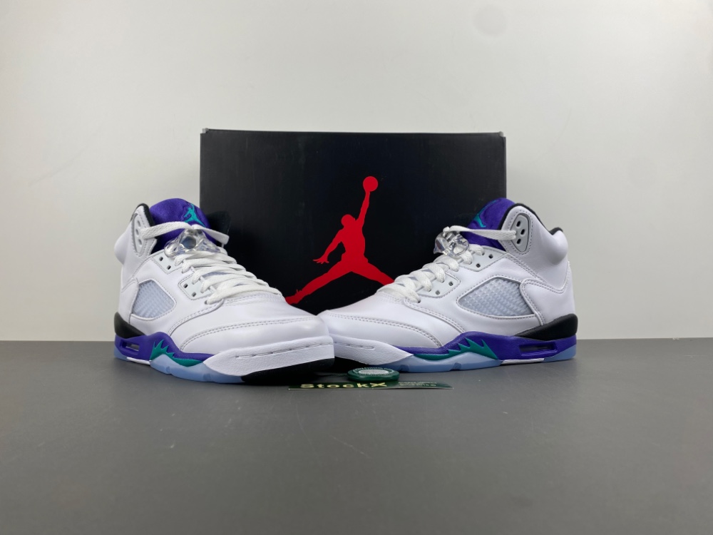 Jordan 5 Retro GS ‘Grape’ 2025