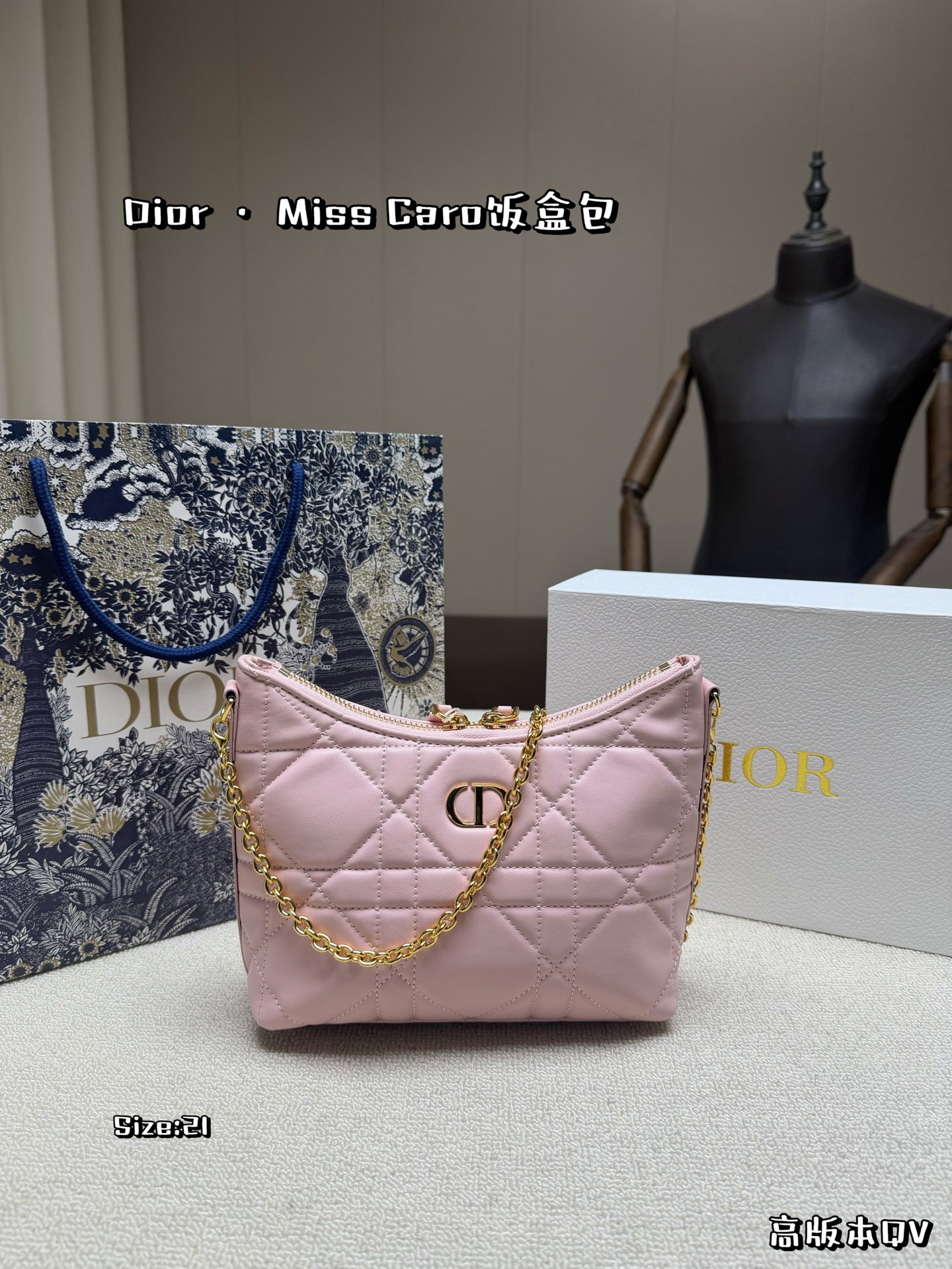 Dior Miss Caro Lunchbox Bag