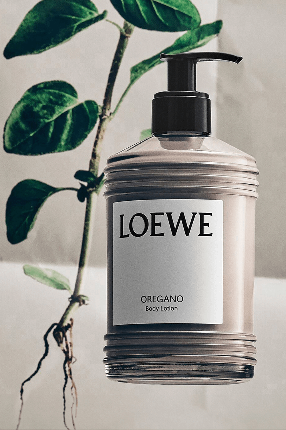 LOEWE PERFUMES Loewe Body Lotion Oregano