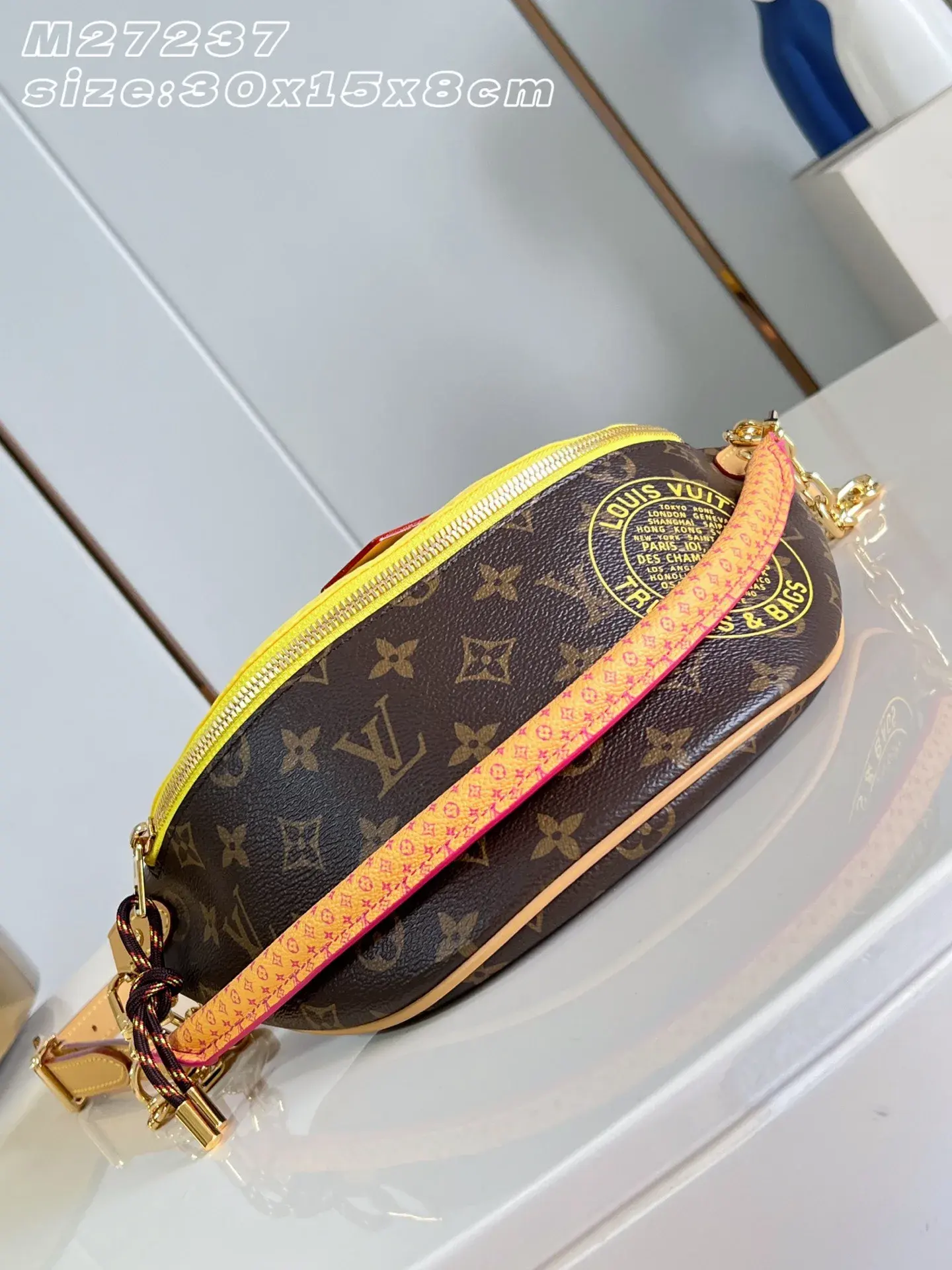 Louis Vuitton Nylon Belt Bag product photo from LabelPicks