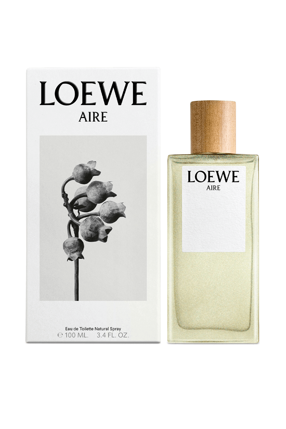 LOEWE PERFUMES LOEWE Aire Eau de Toilette 100 ml