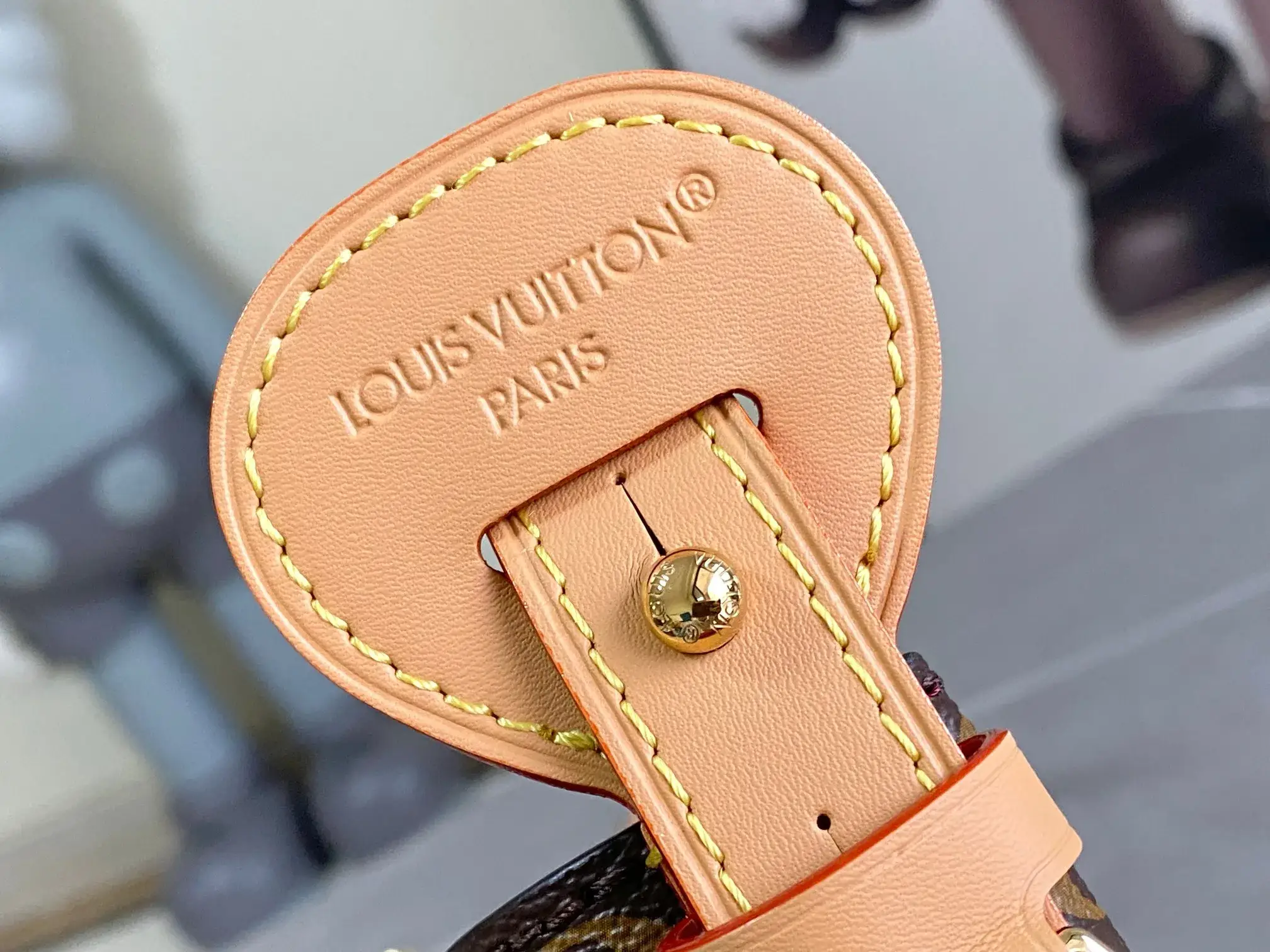 Louis Vuitton Canvas and Leather Bucket Bag product photo from LabelPicks