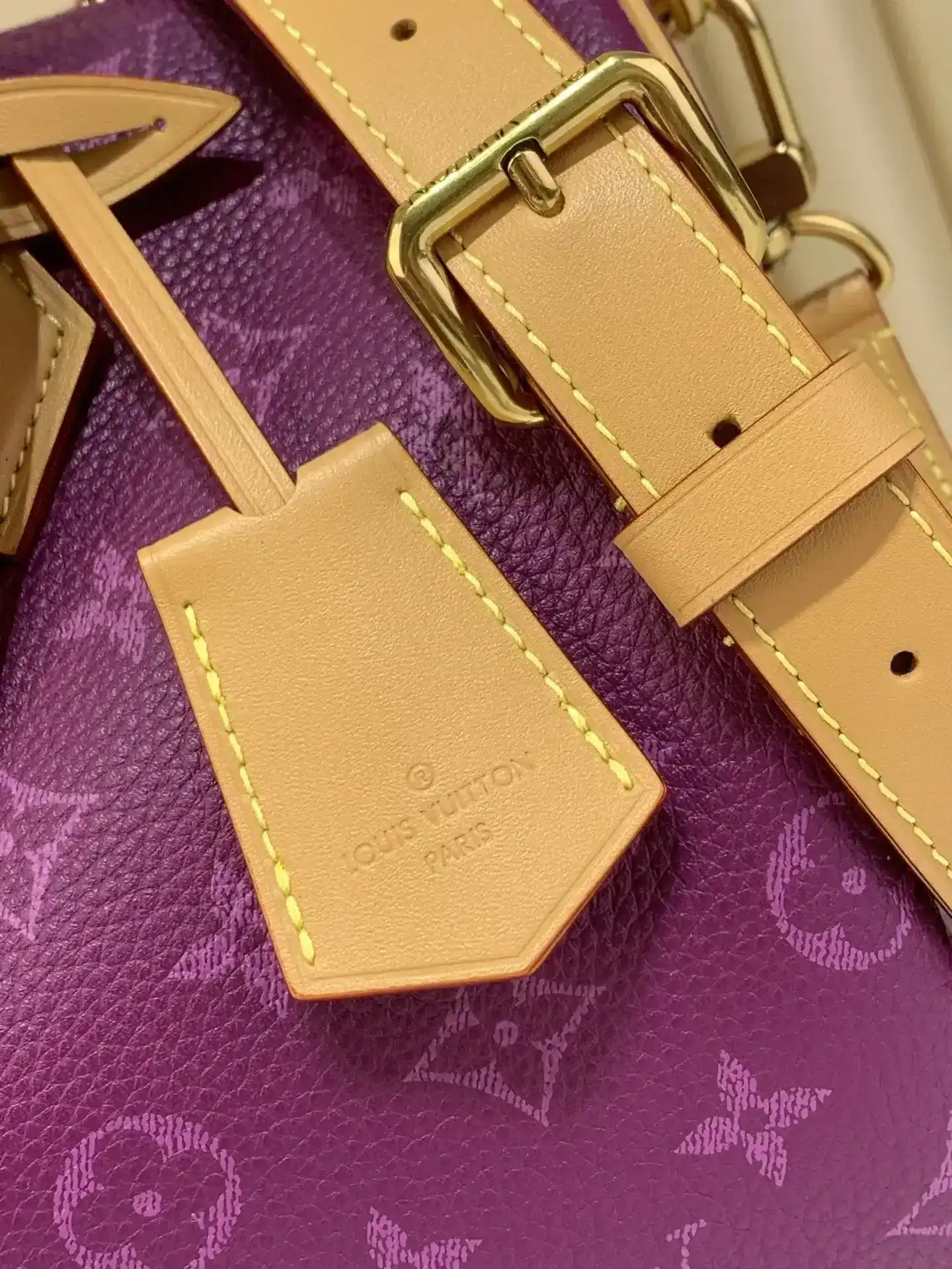 Louis Vuitton Blue Speedy Calfskin Top Handle Bag product photo from LabelPicks