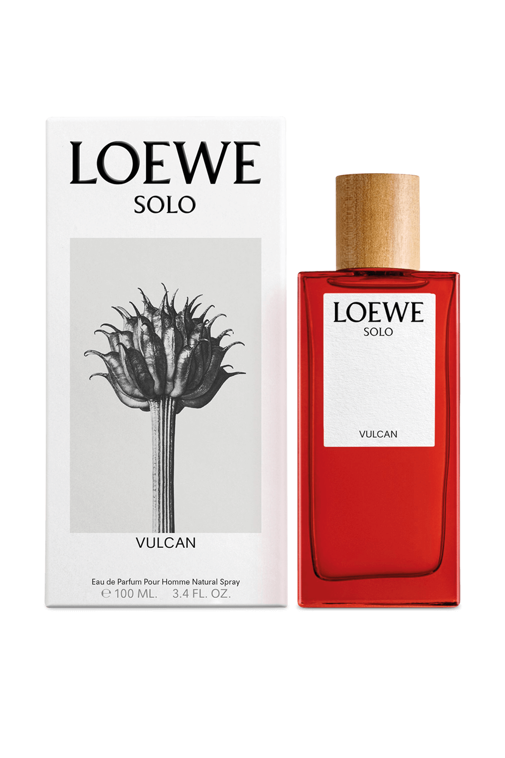 LOEWE PERFUMES LOEWE Solo Vulcan Eau de Parfum 100 ml