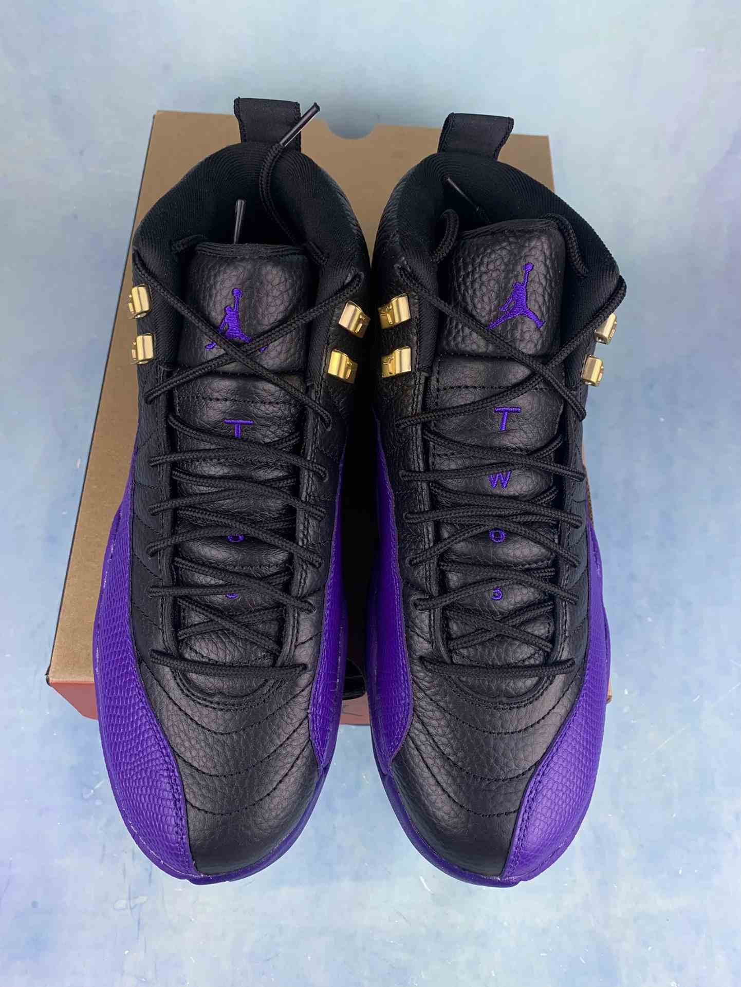 Air Jordan 12 Retro 