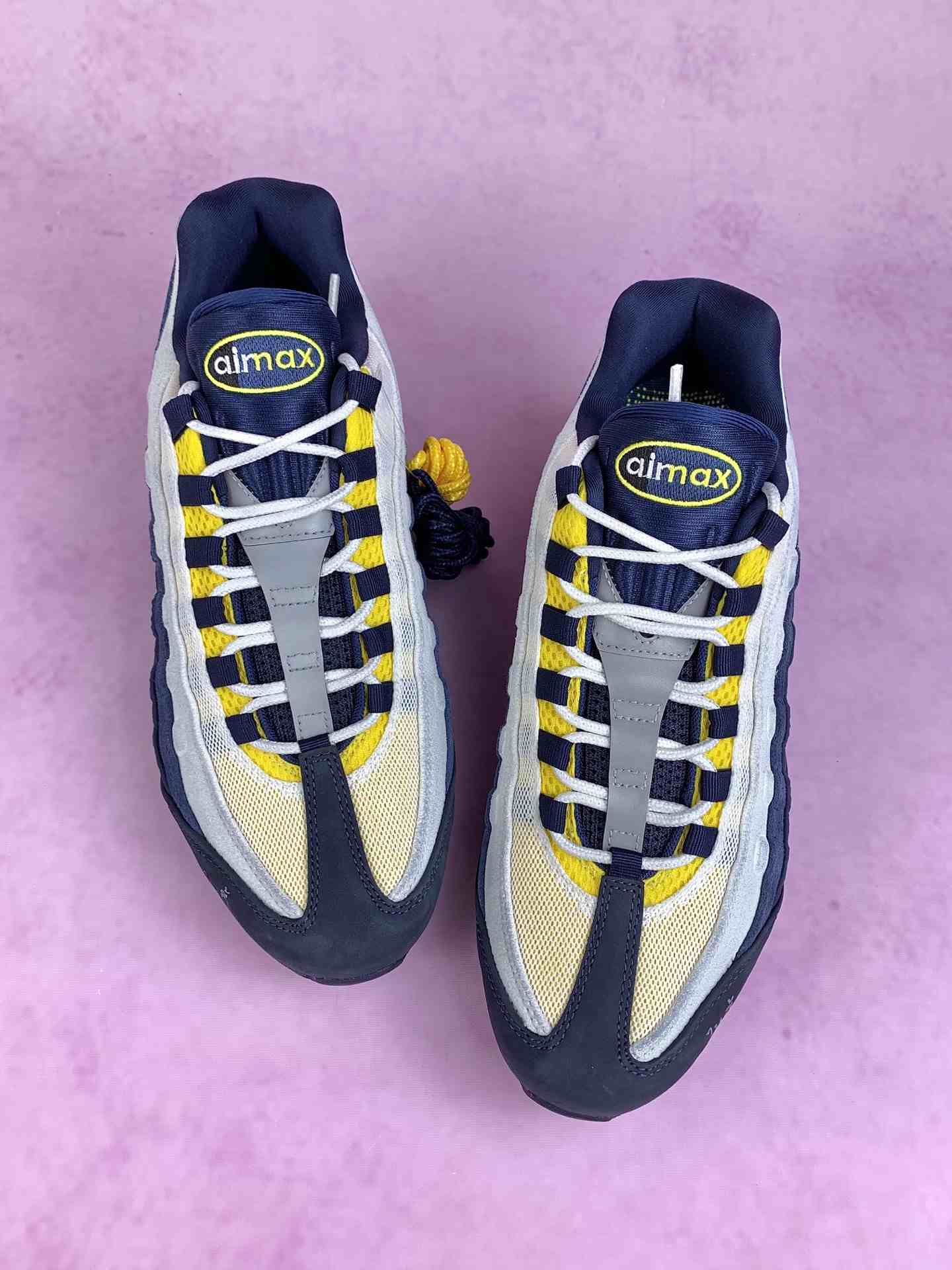Nike SB Air Max 95 x Eric Koston Shoes