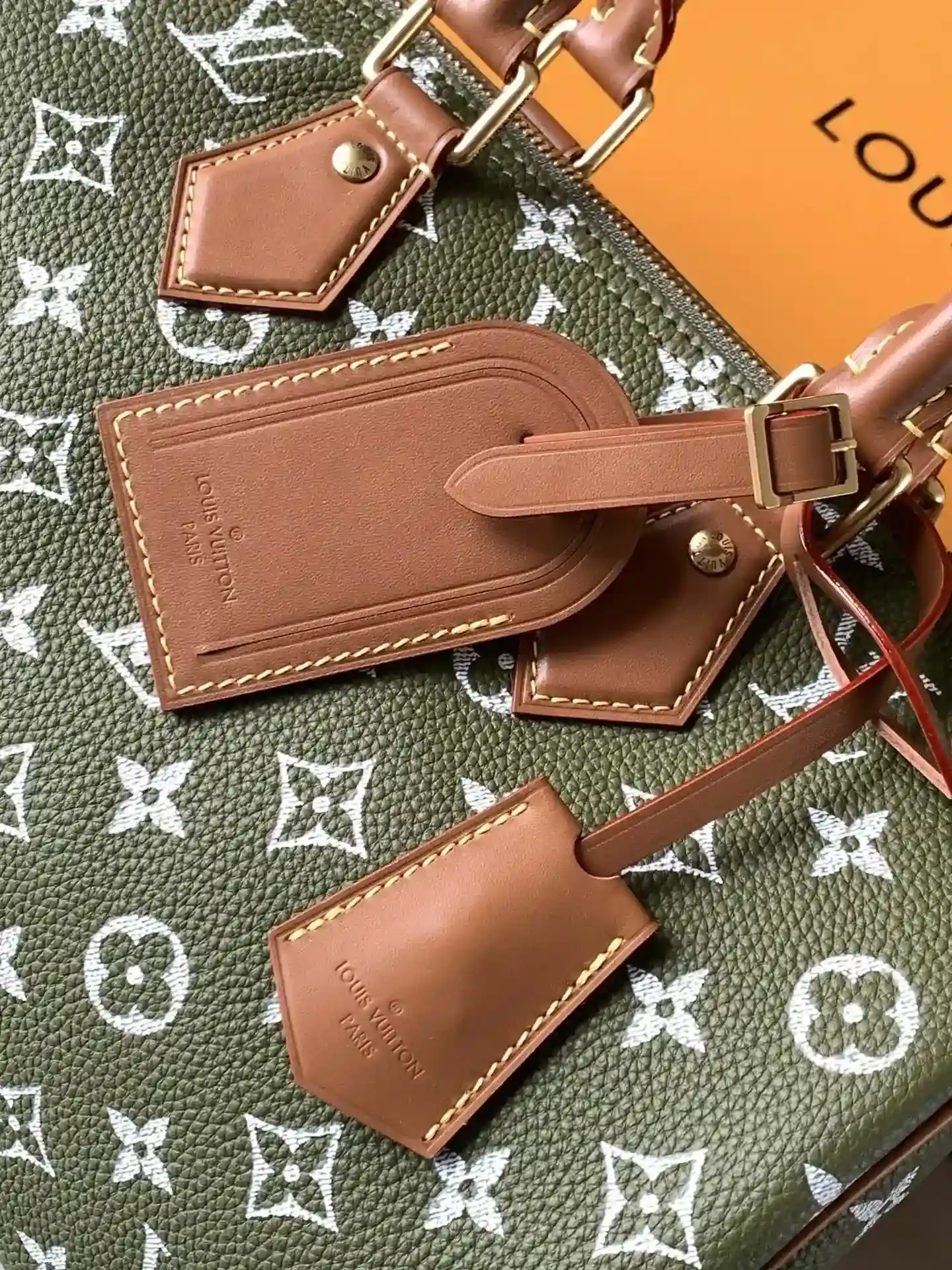 Louis Vuitton Speedy Black Grained Leather Top Handle Bag product photo from LabelPicks