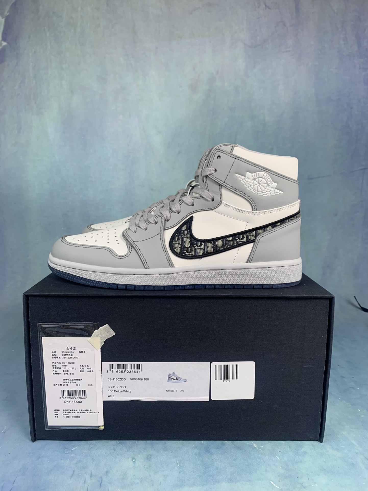 Dior x Air Jordan 1 High OG Sneaker