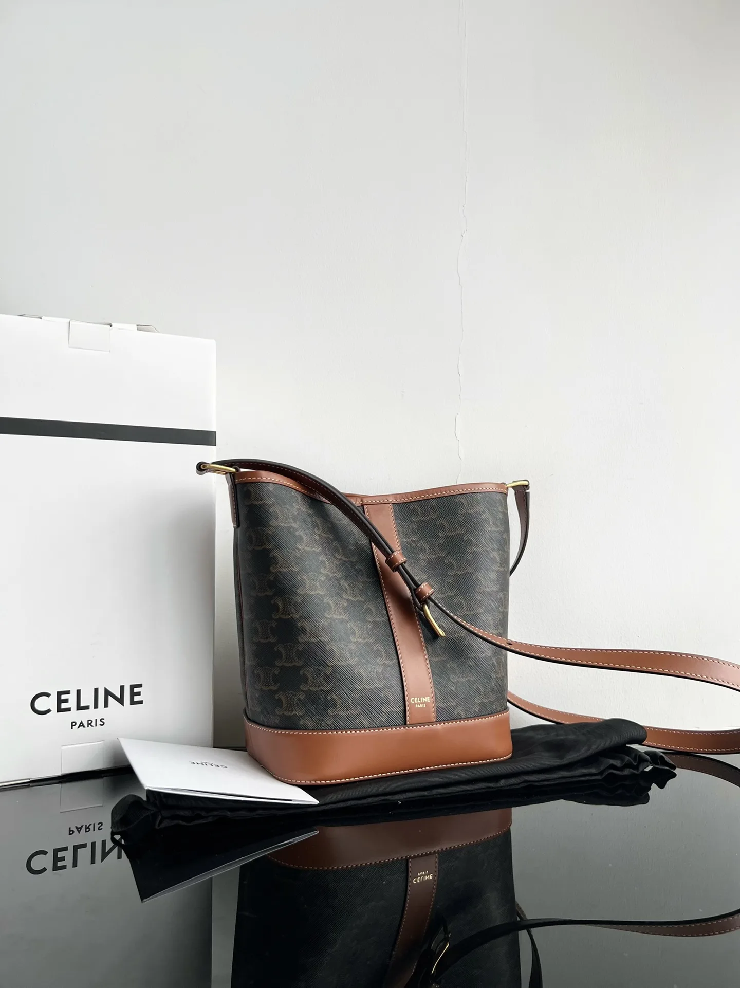 Celine Triomphe Canvas Bucket Bag product photo from LabelPicks