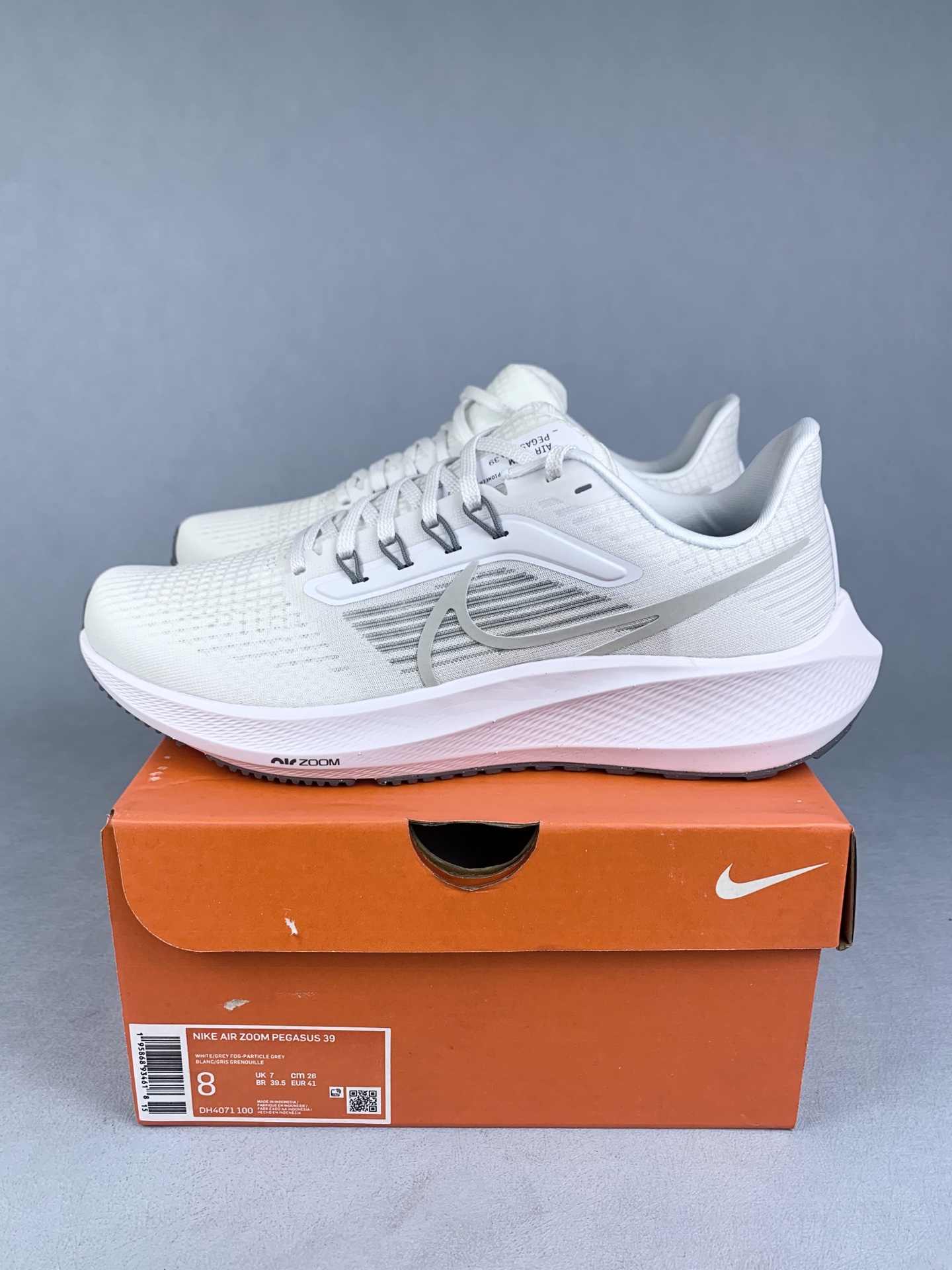 Nike Pegasus 39 Shoes
