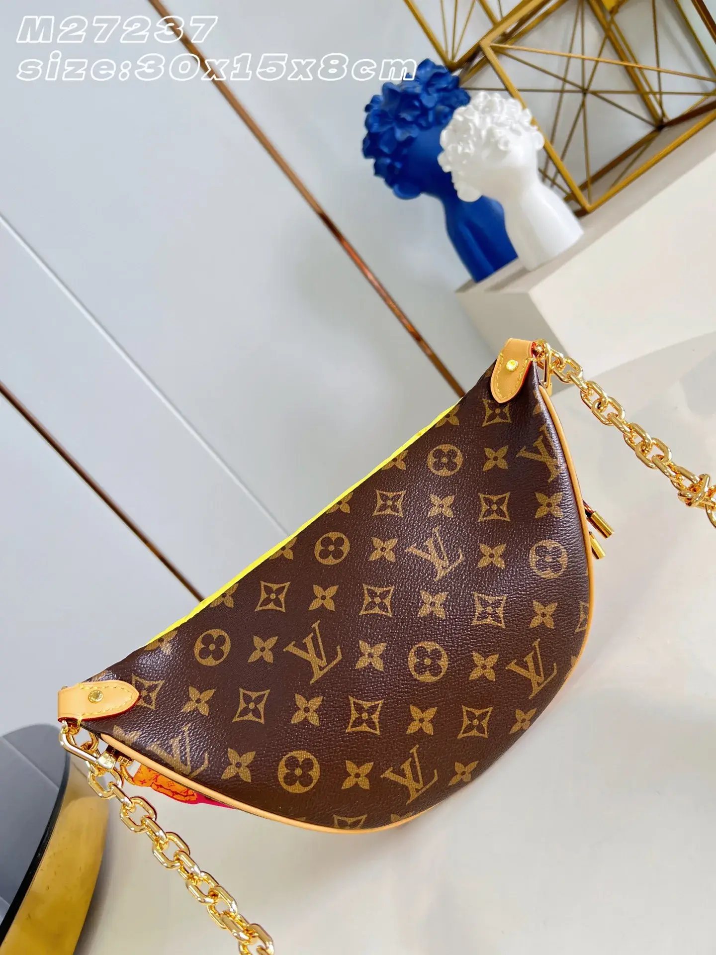 Louis Vuitton Nylon Belt Bag product photo from LabelPicks