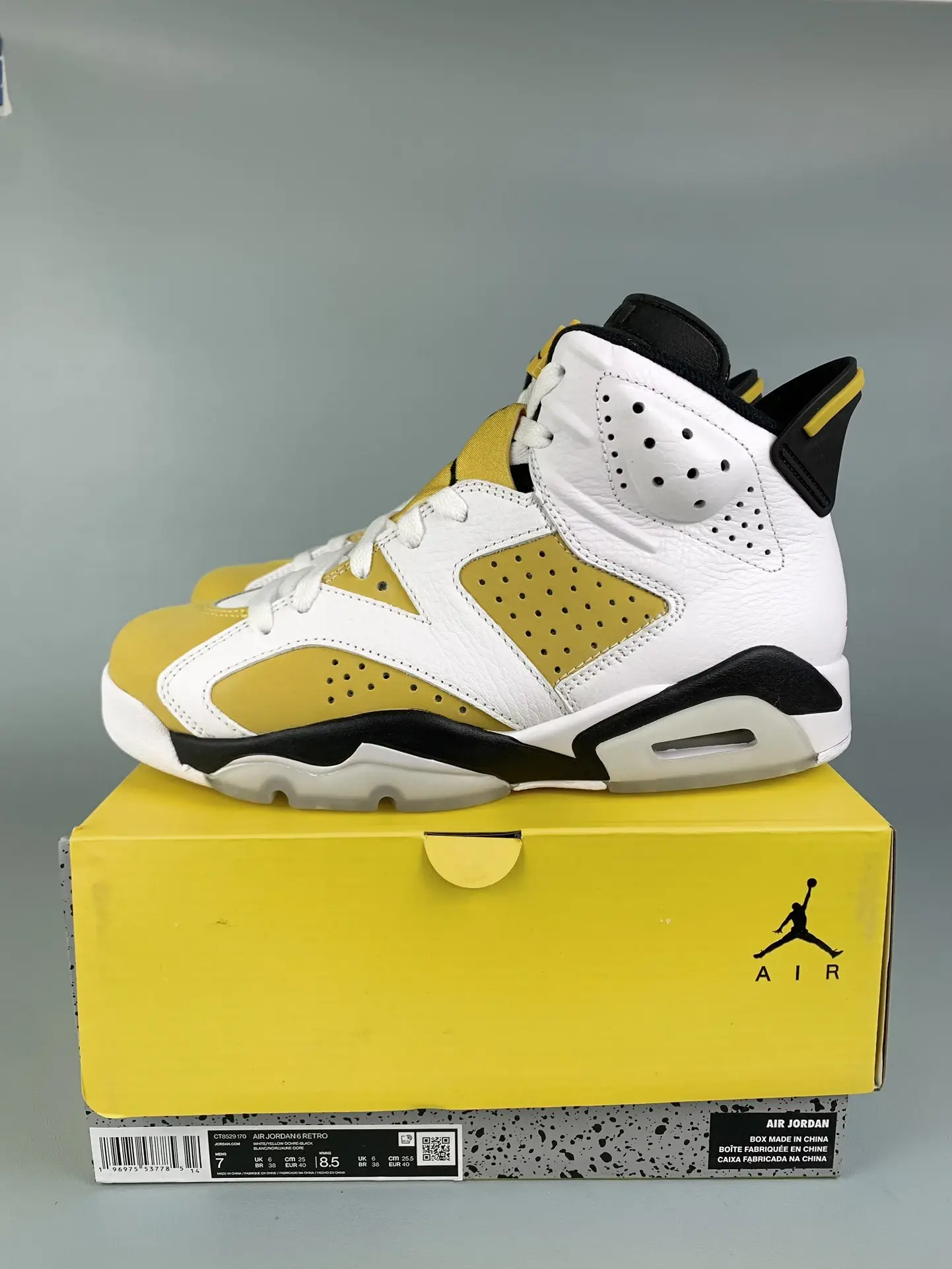 Air Jordan 6 Retro 