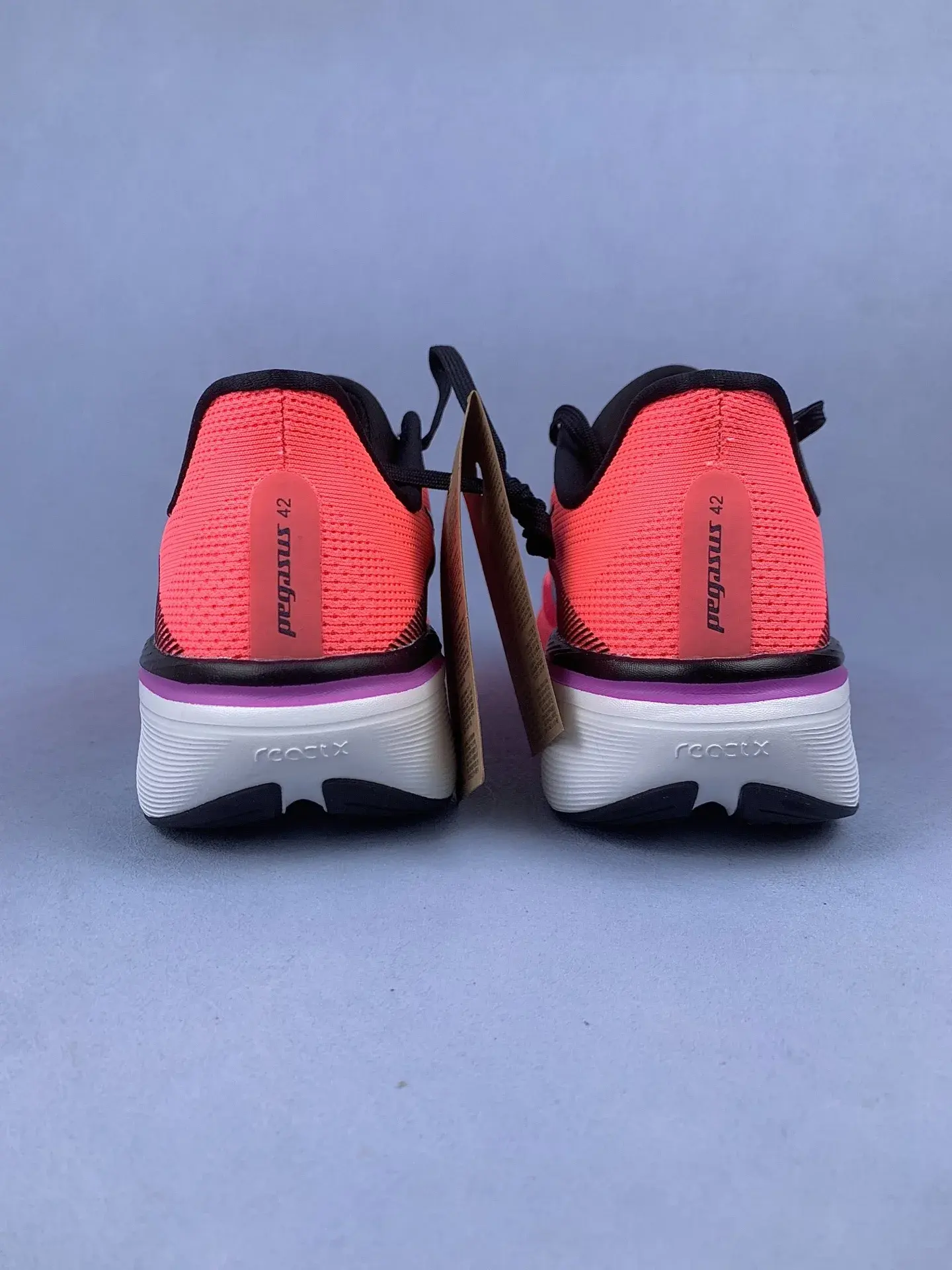 Nike Pegasus 42 Shoes product photo from LabelPicks