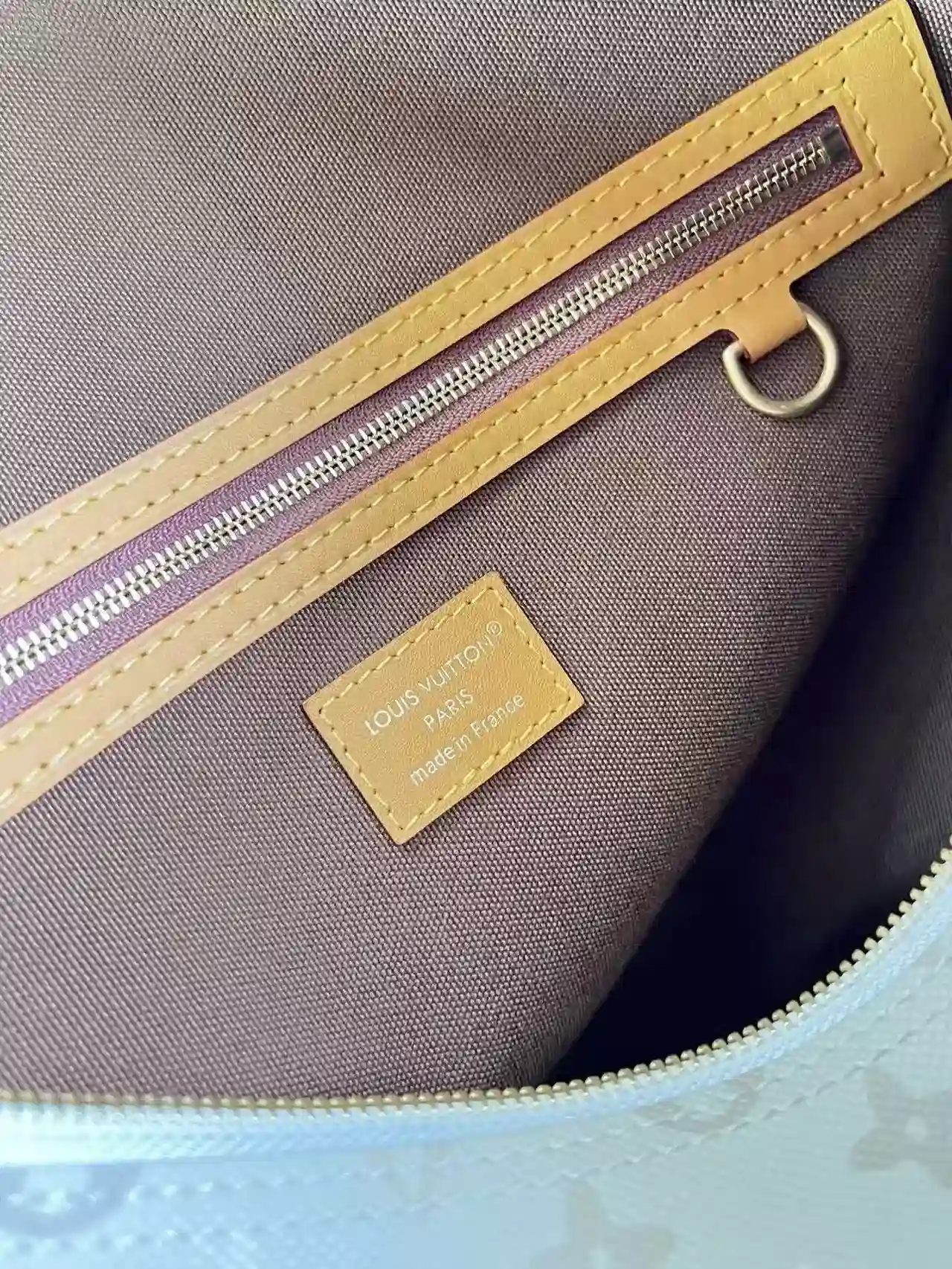 Louis Vuitton Monogram Canvas Hobo Bag product photo from LabelPicks