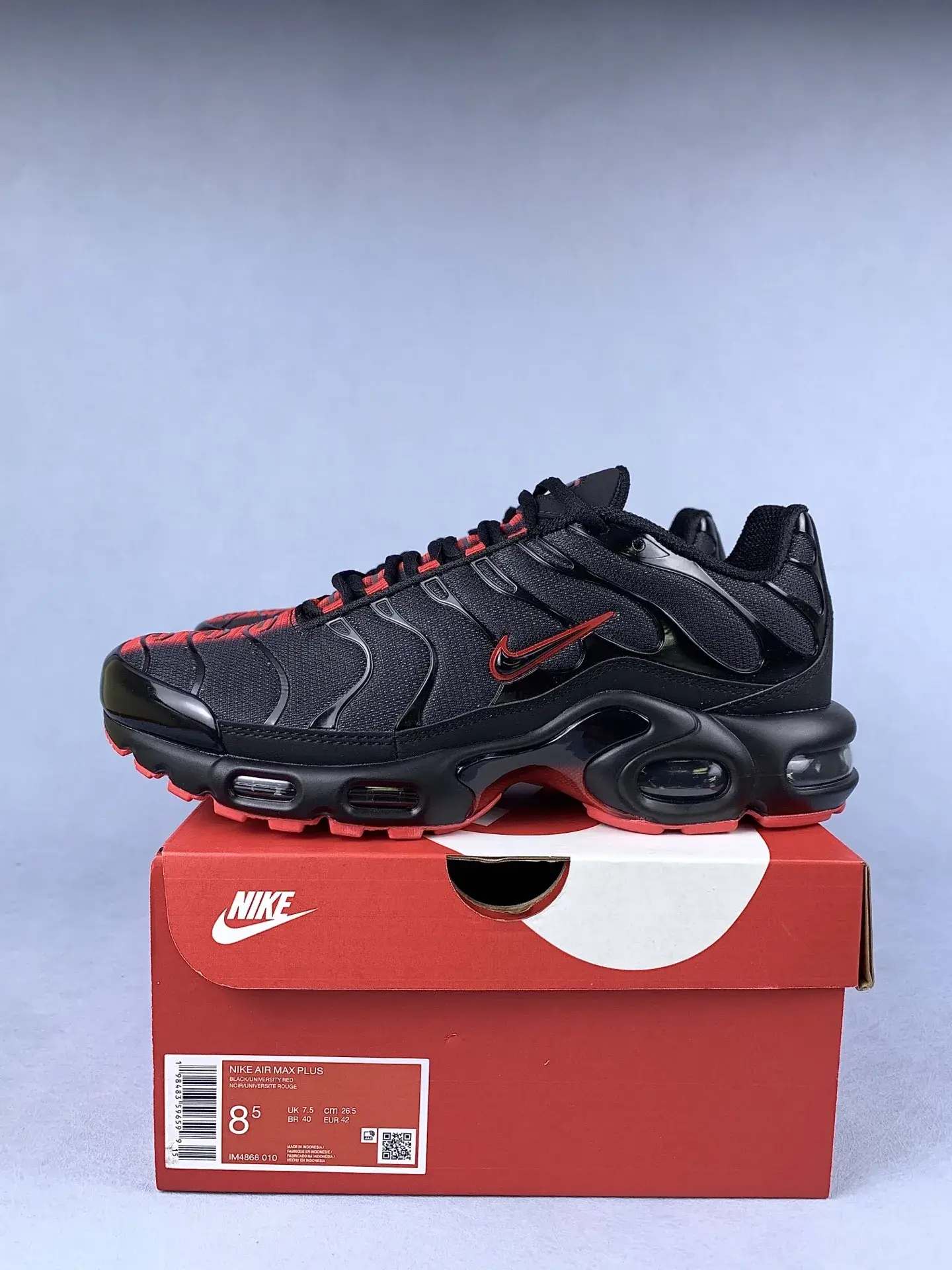 Nike Air Max Plus Shoes product photo from LabelPicks