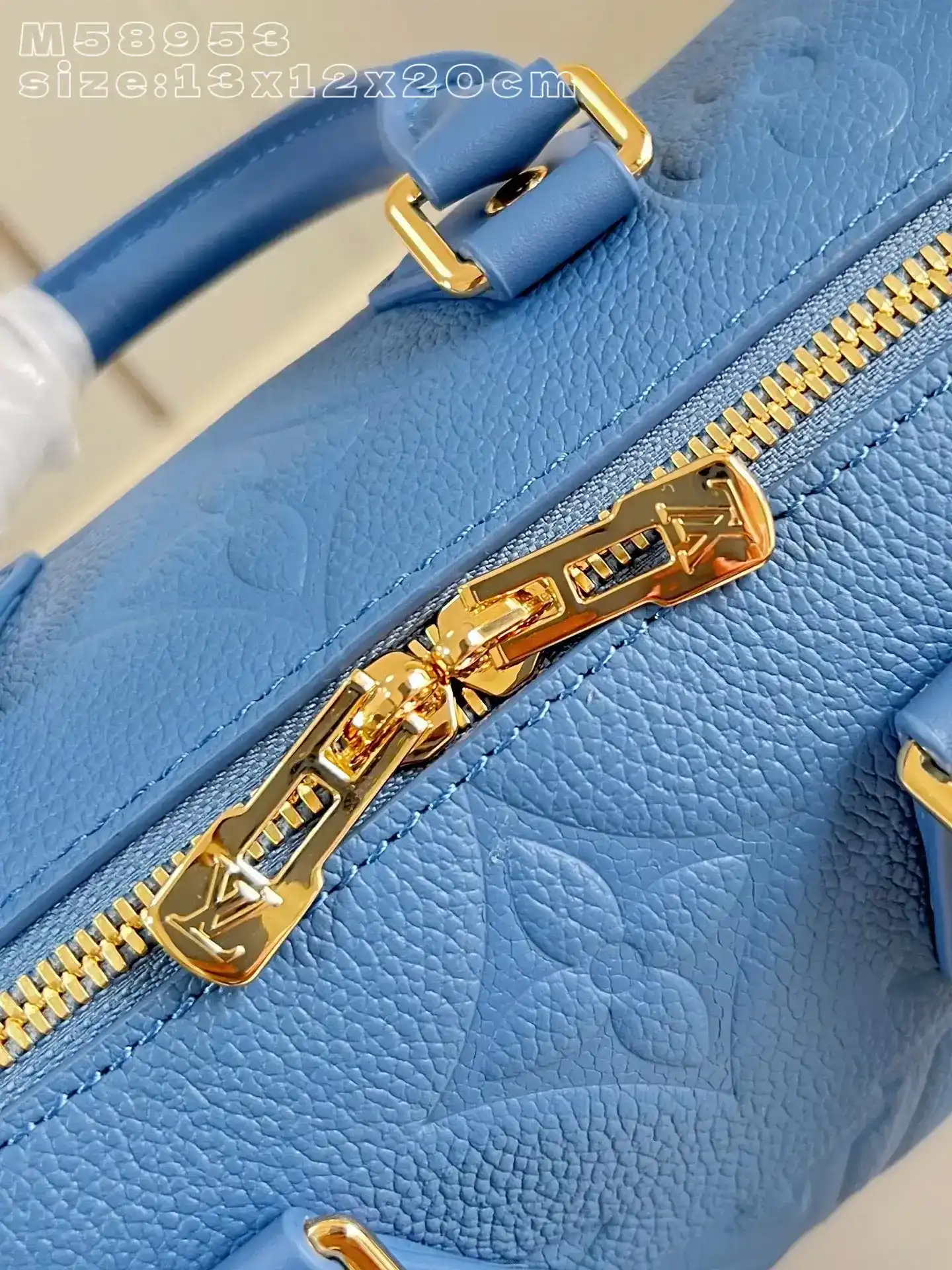 Louis Vuitton Speedy Grained Leather Top Handle Bag product photo from LabelPicks