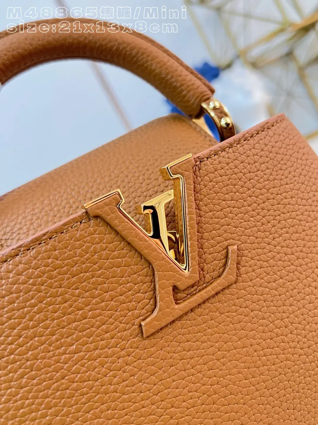 Louis Vuitton Capucines Brown Calfskin Crossbody Bag product photo from LabelPicks