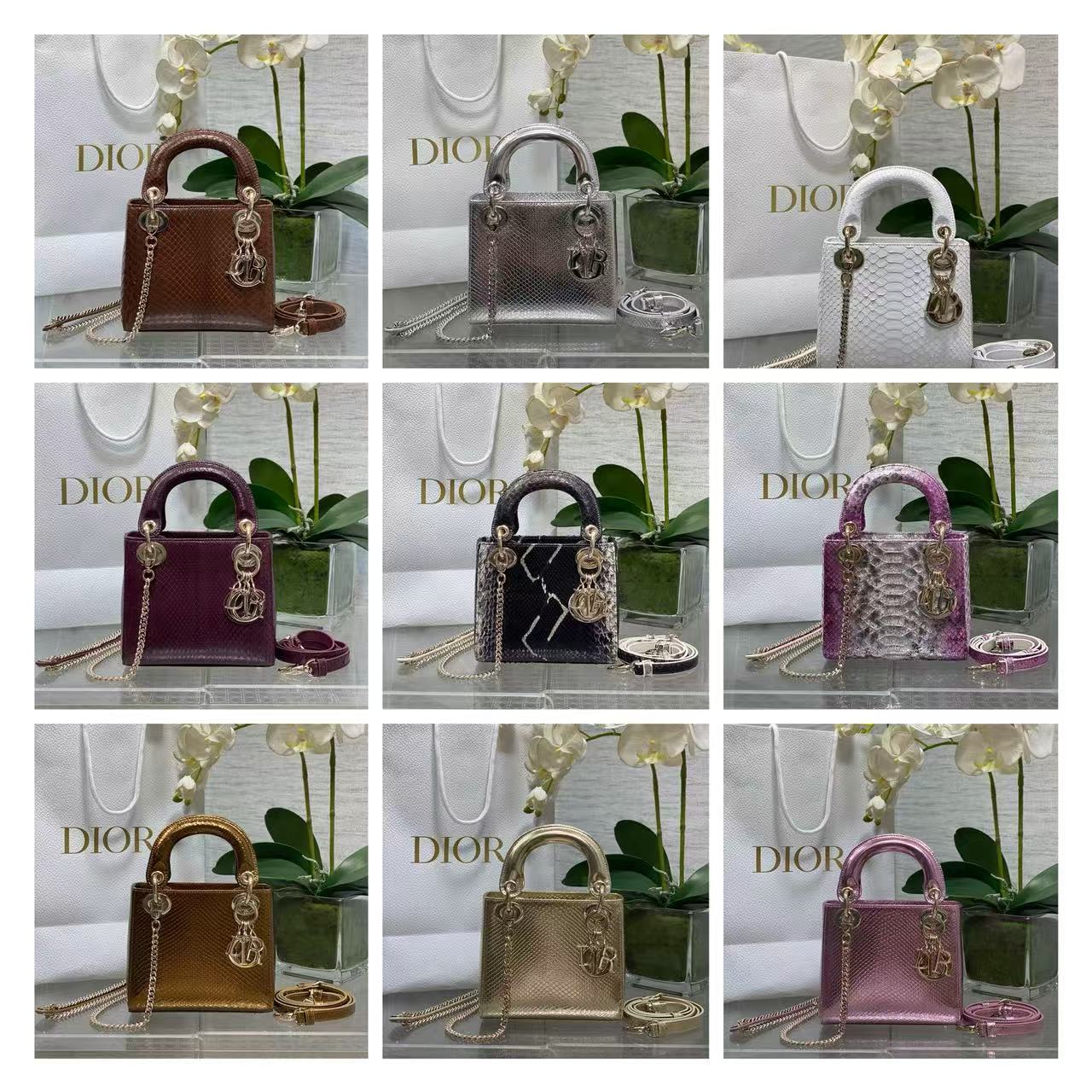 DIOR Lady Dior/Snakeskin/17CM