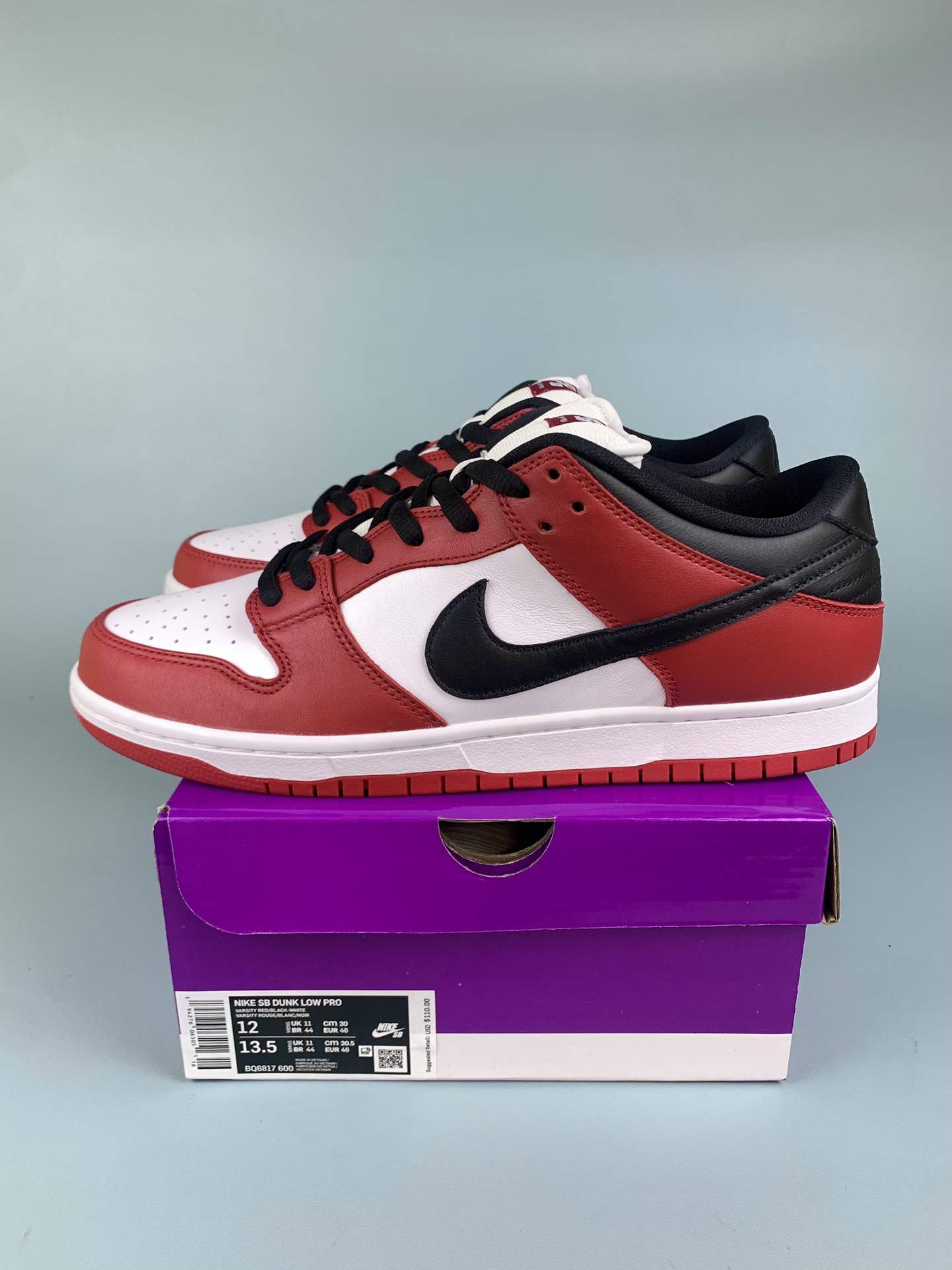 Nike SB Dunk Low Pro Shoes