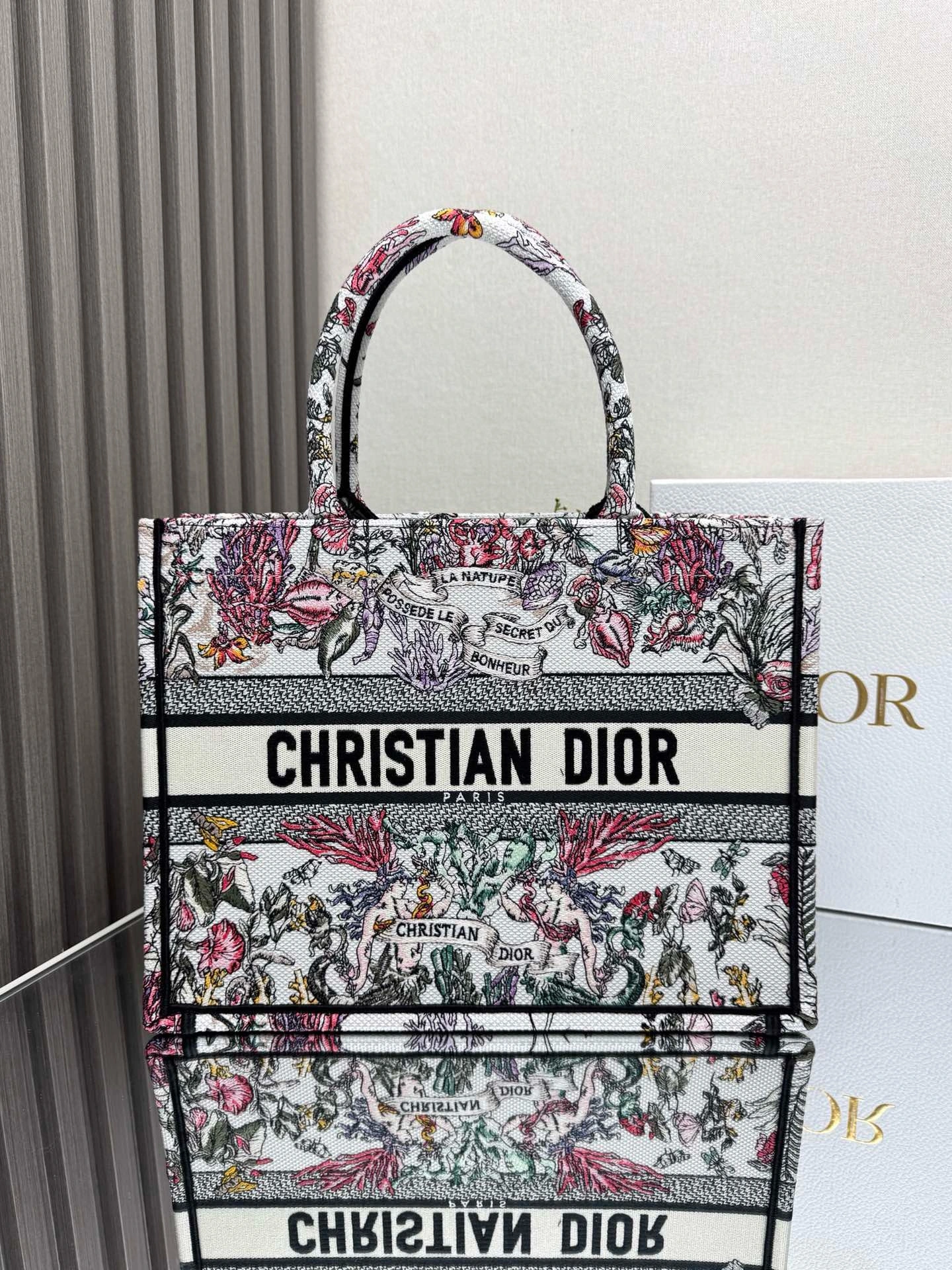 DIOR book tote