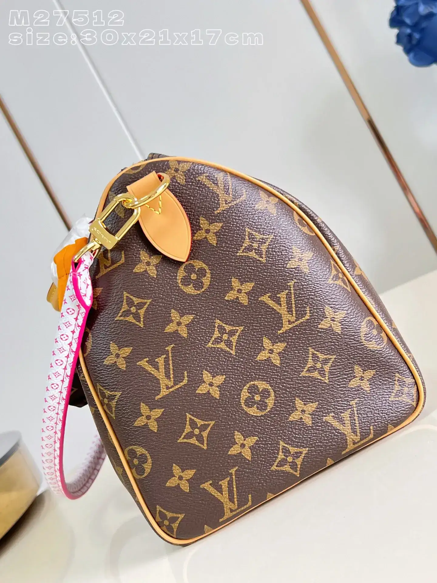 Louis Vuitton Nylon Speedy Top Handle Bag product photo from LabelPicks