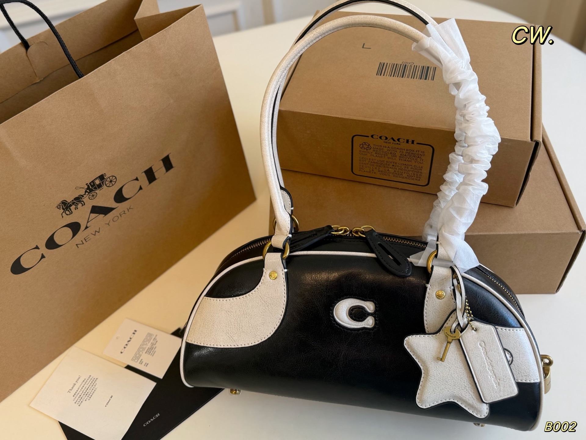 Coach Topia Color-Block Bowling Shoulder Bag
