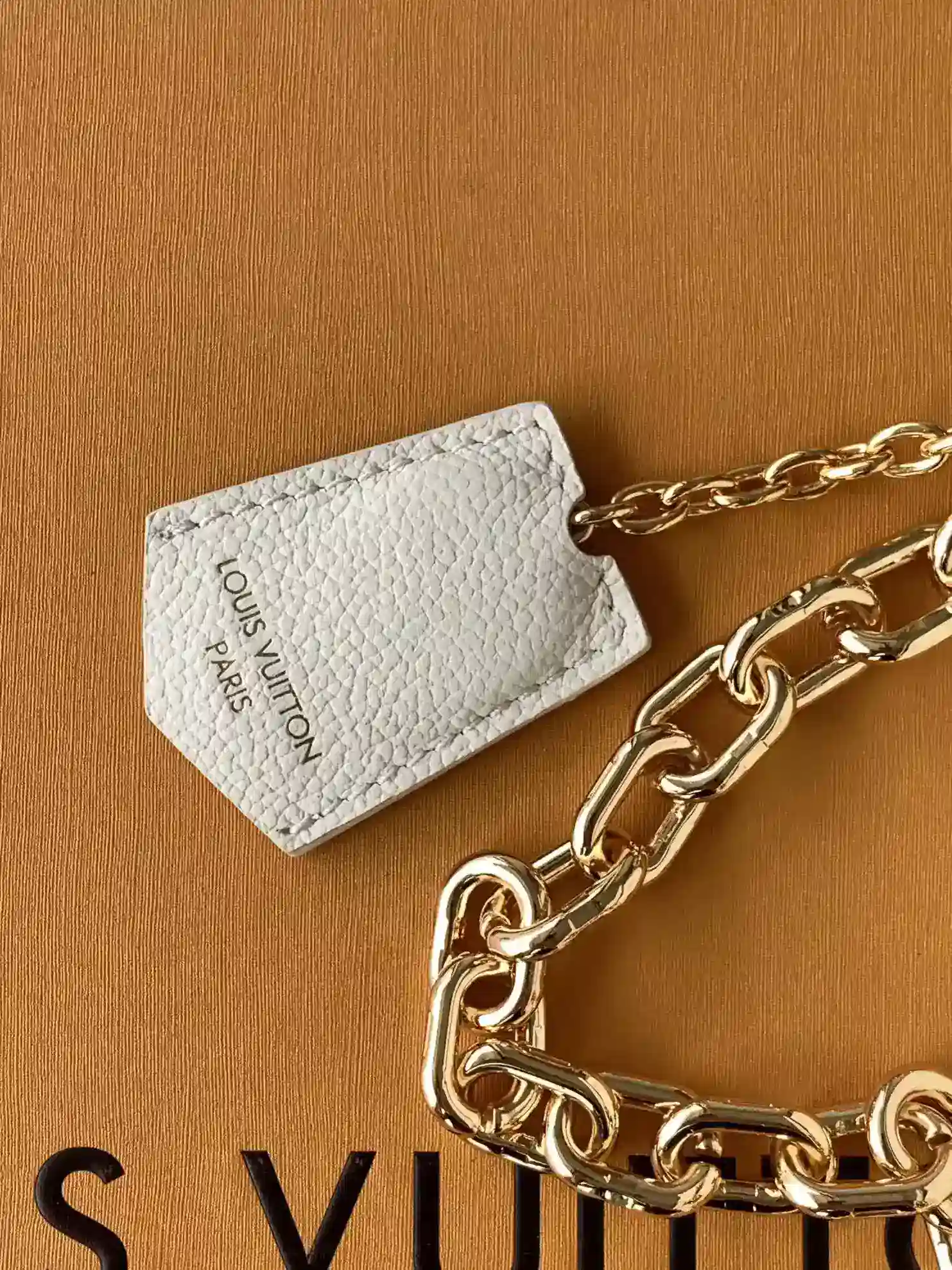 Louis Vuitton Black Pochette Calfskin Top Handle Bag product photo from LabelPicks