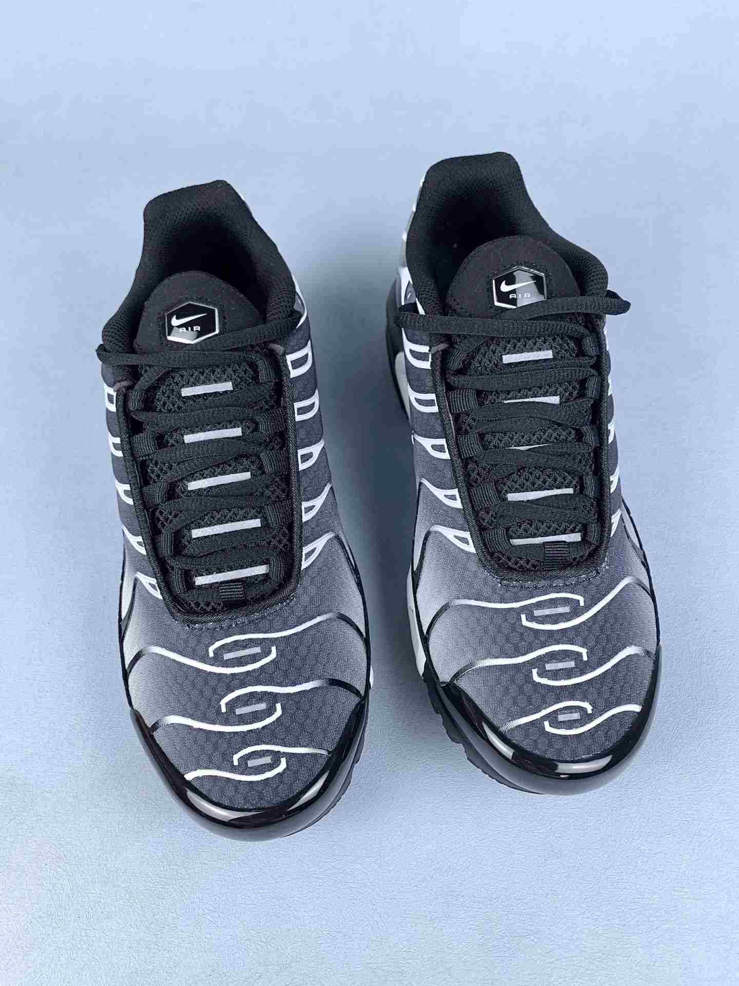 Nike Air Max Plus Shoes