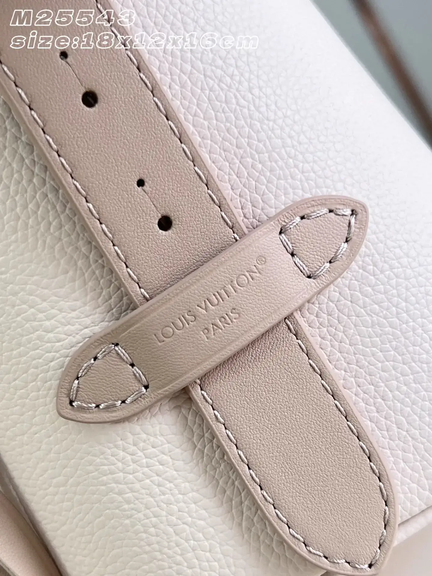 Louis Vuitton Pink Grained Leather Bucket Bag product photo from LabelPicks
