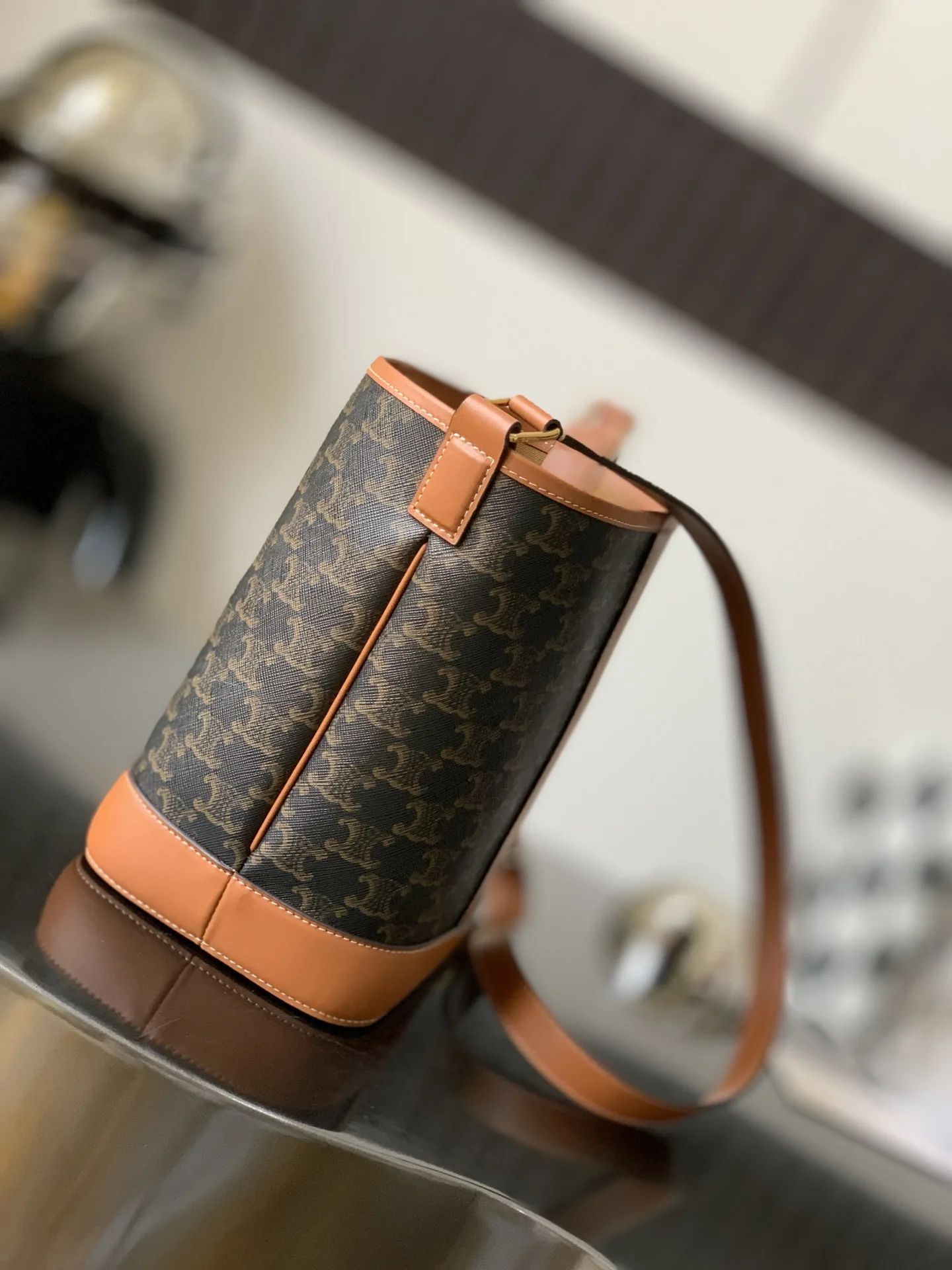 Celine Triomphe Canvas Bucket Bag product photo from LabelPicks