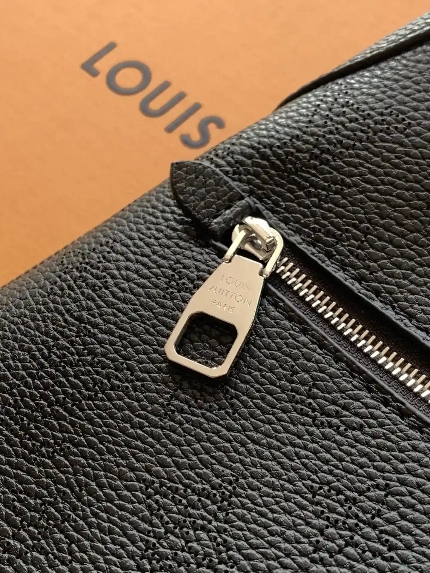 Louis Vuitton Black Calfskin Hobo Bag product photo from LabelPicks
