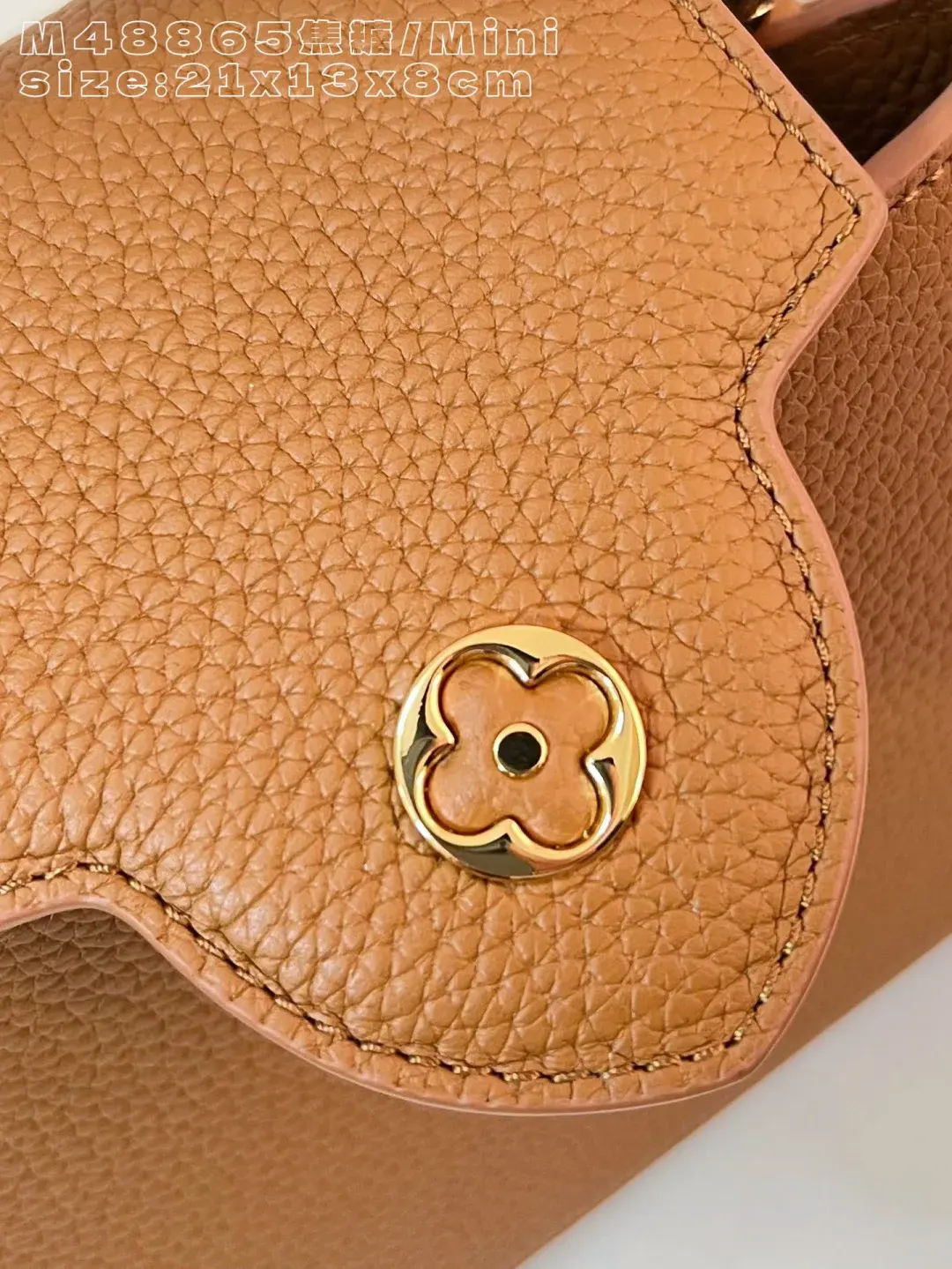 Louis Vuitton Capucines Brown Calfskin Crossbody Bag product photo from LabelPicks