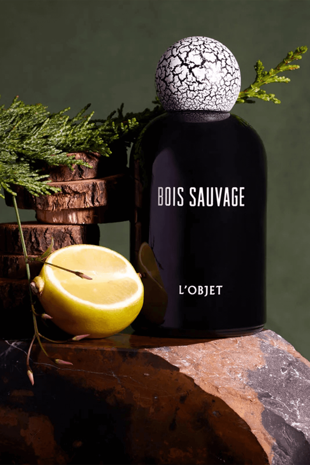 LOBJET Bois Sauvage Eau de Parfum 100 ml