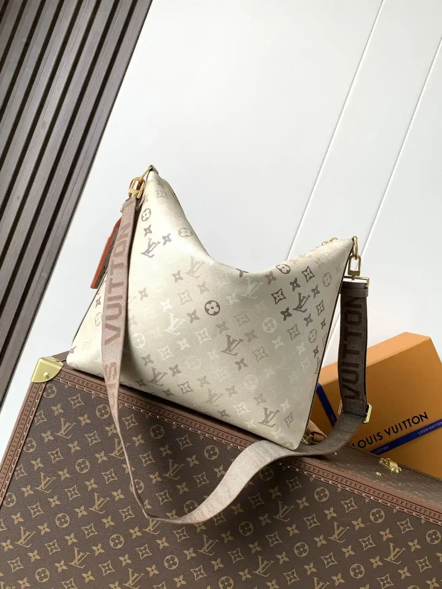 Louis Vuitton Curved Hobo Bag product photo from LabelPicks