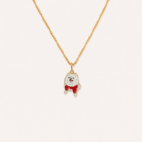PET CUSTOM