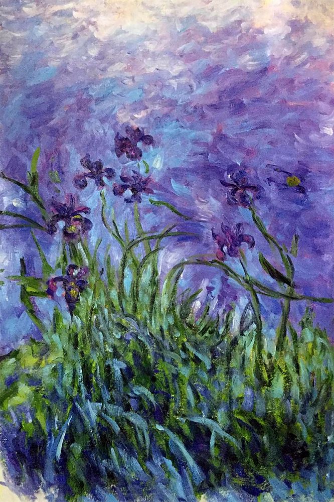 Purple iris floral wall art, impressionist garden landscape painting, vibrant violet and blue textured canvas art.