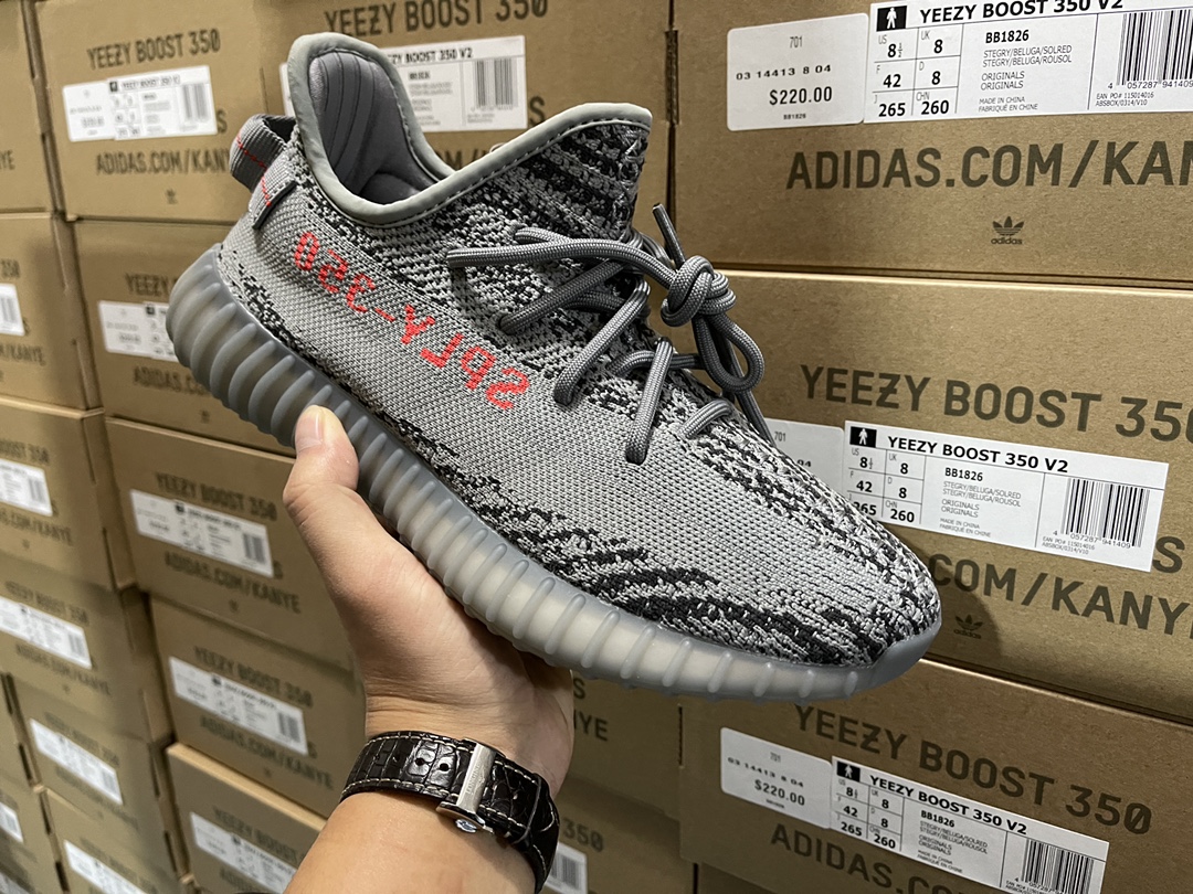 350 V2 Beluga 2.0