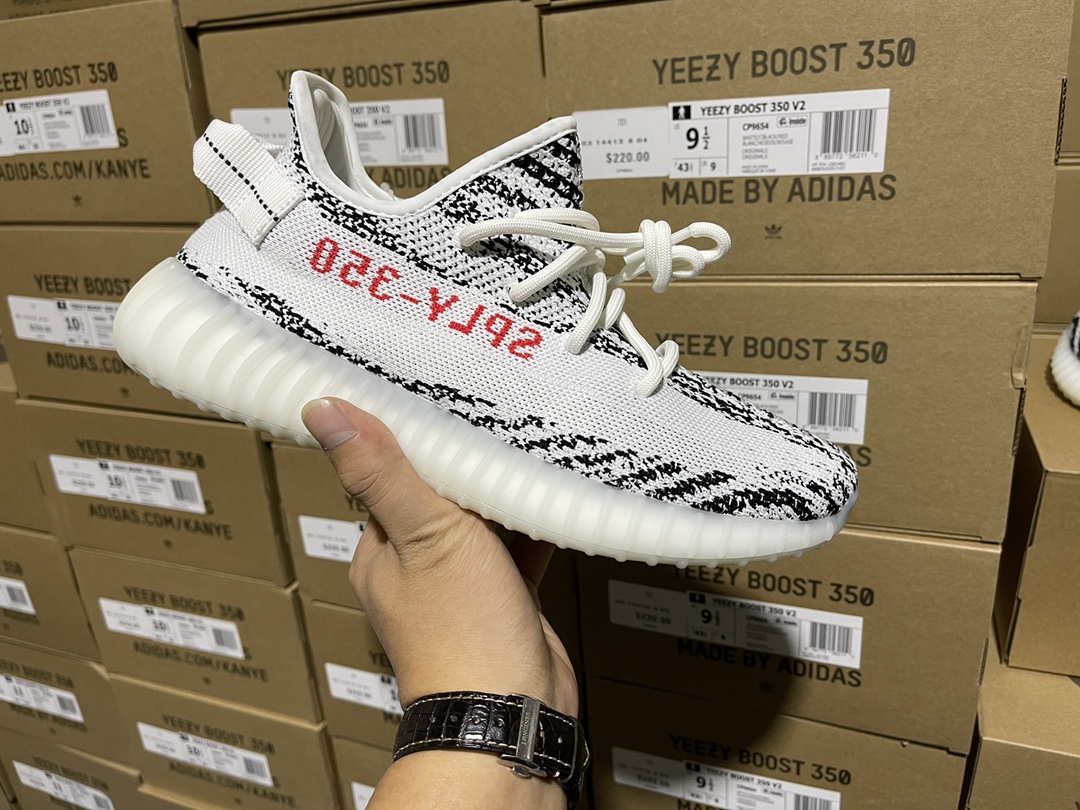 Zebra