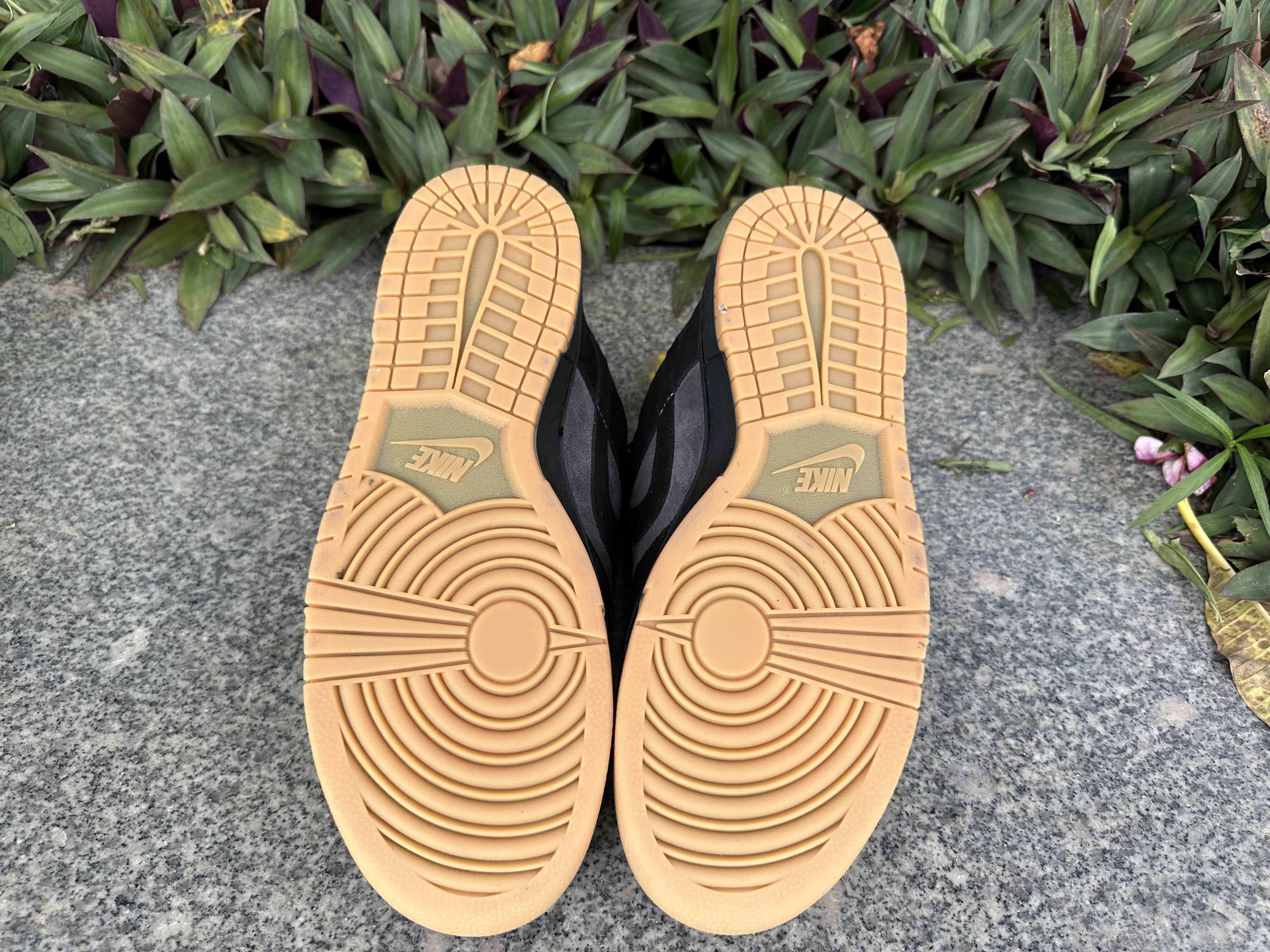 Dunk Low SP Chocolate