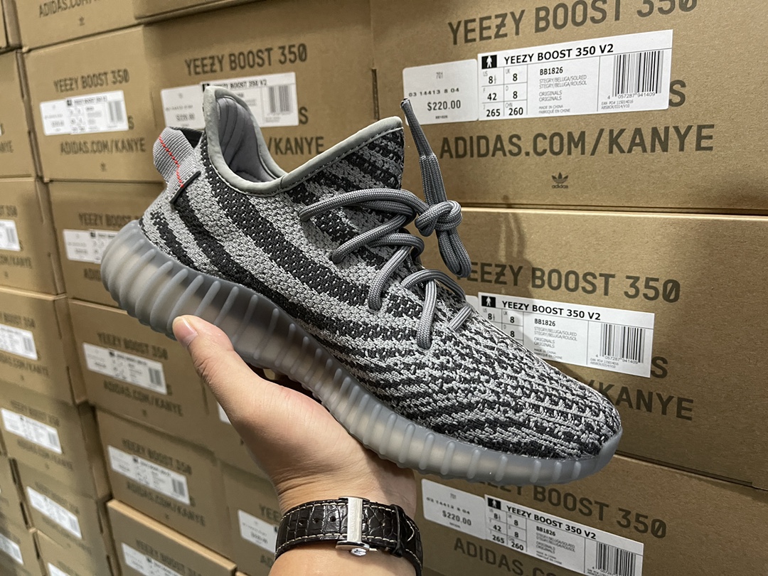 350 V2 Beluga 2.0