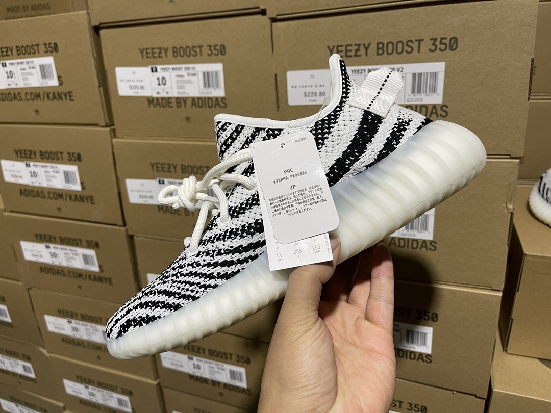 Zebra