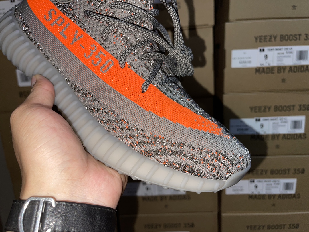 Beluga