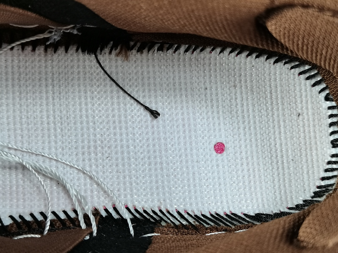 SB Dunk Low Pro Paisley Brown