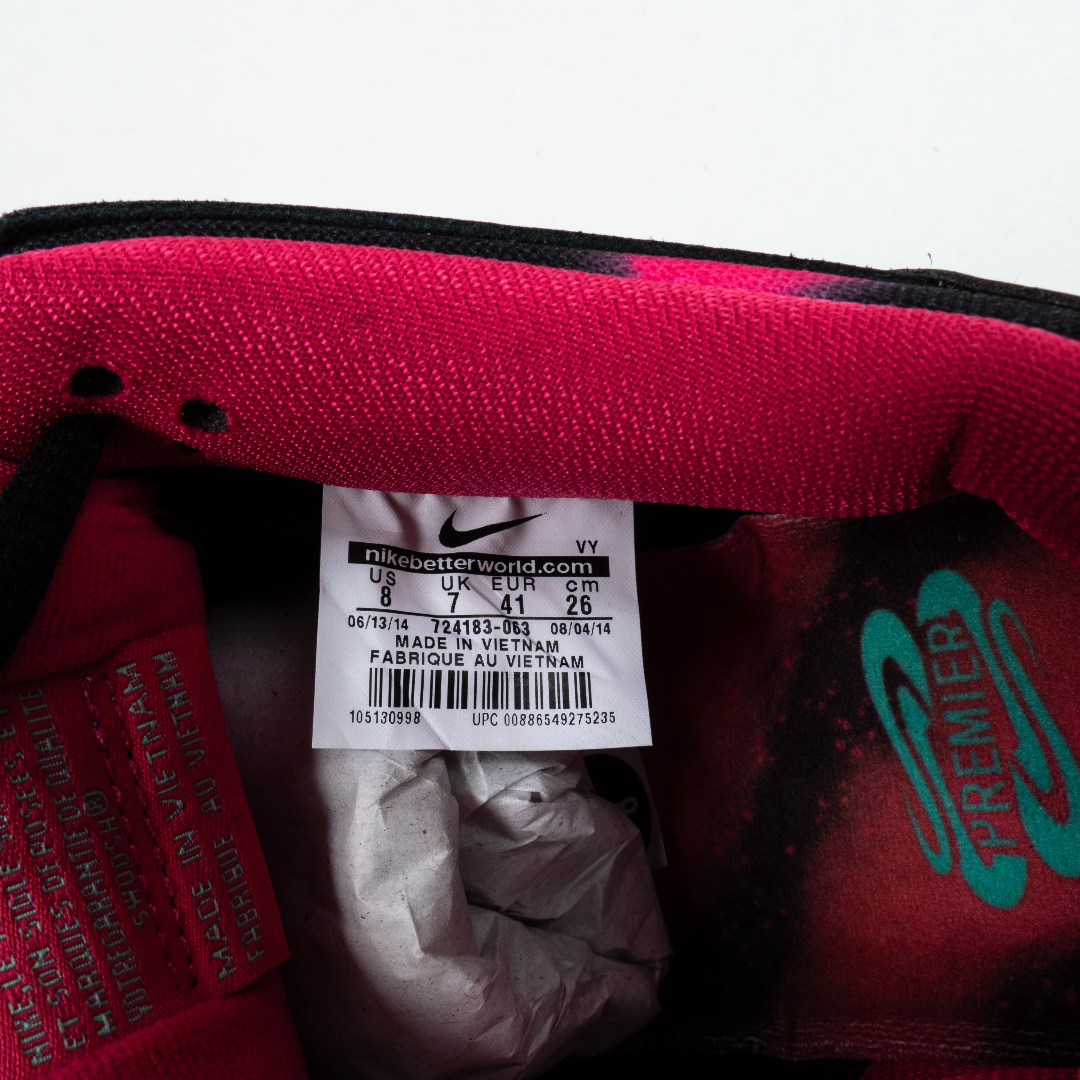 Dunk SB Low Premier  Northern Lights