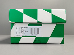 Casablanca Orange Green