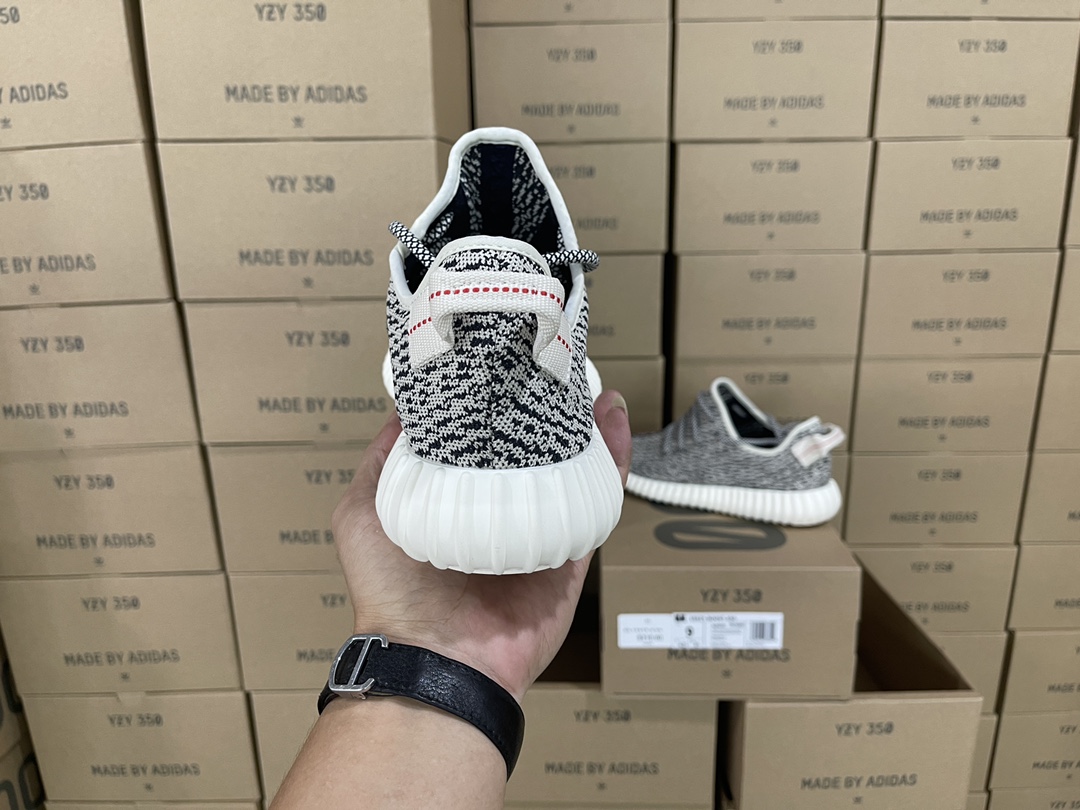 350 Turtledove AQ4832