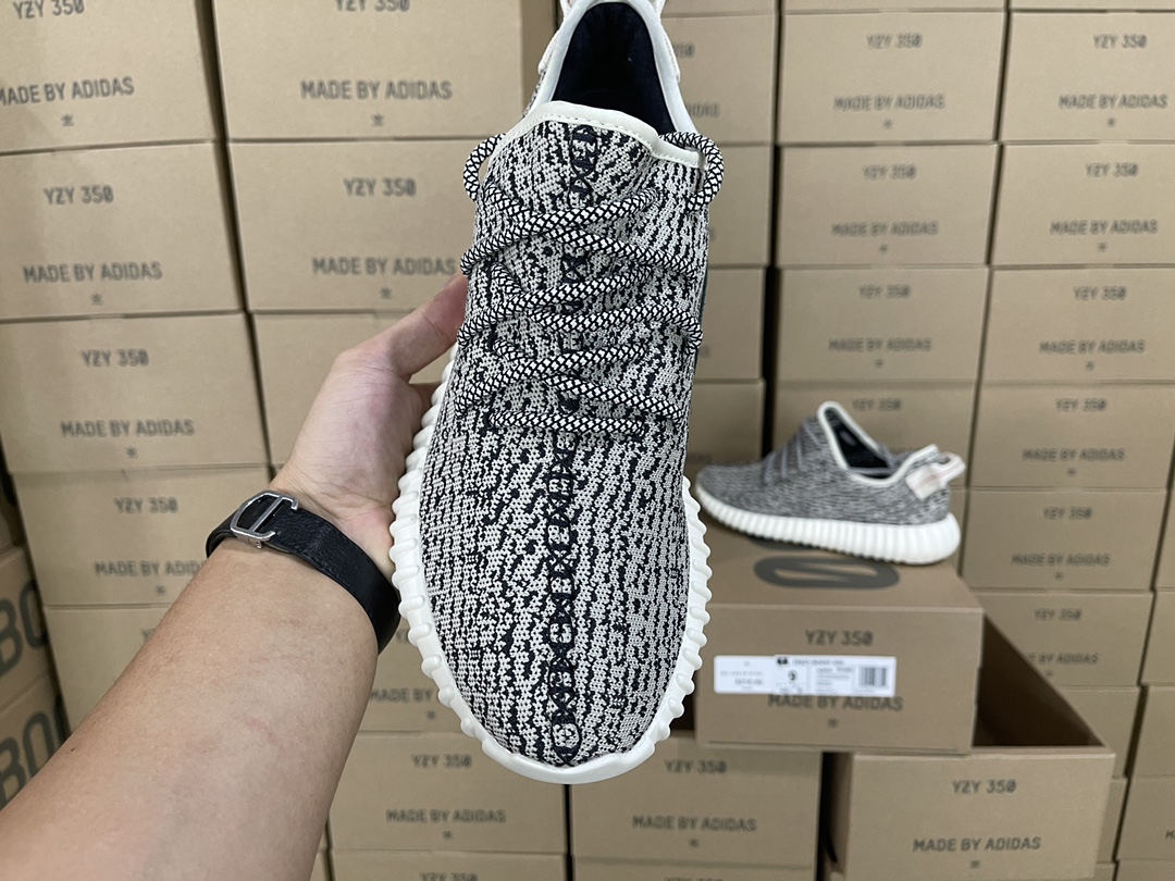 350 Turtledove AQ4832