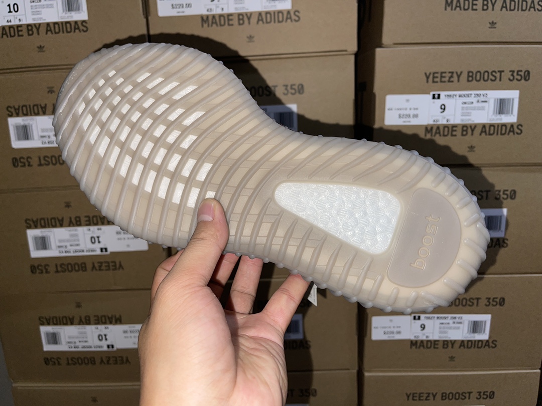 Beluga